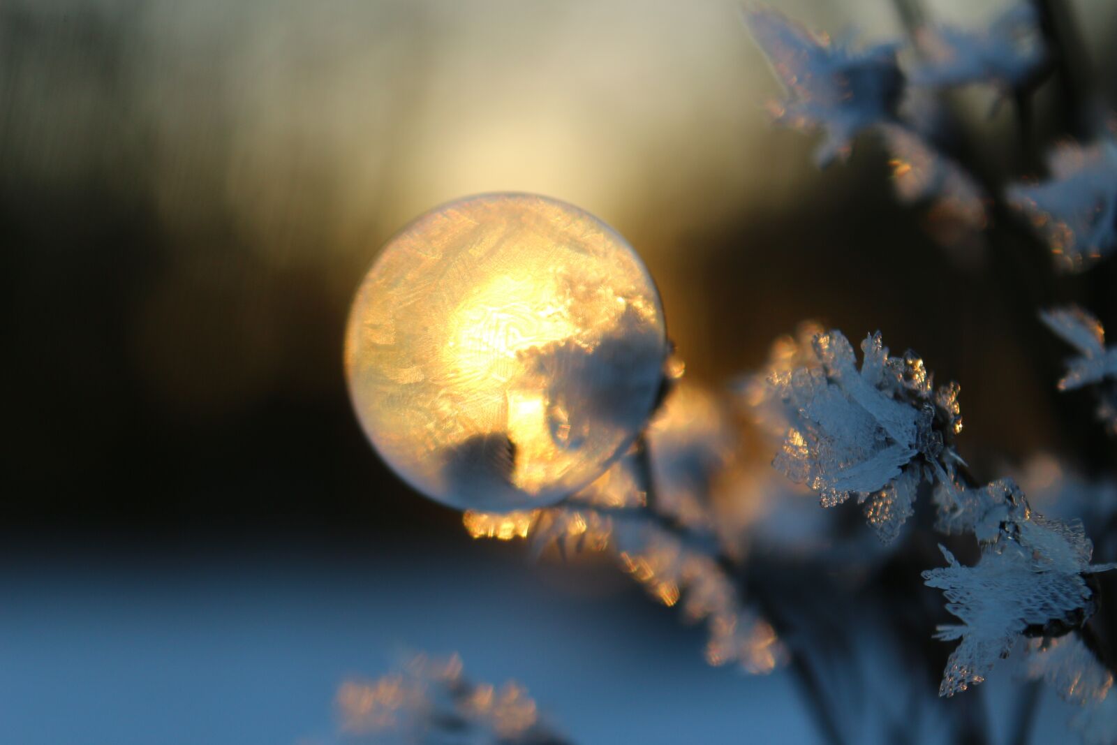 Canon EOS 100D (EOS Rebel SL1 / EOS Kiss X7) sample photo. Soap bubble, frost bubble photography