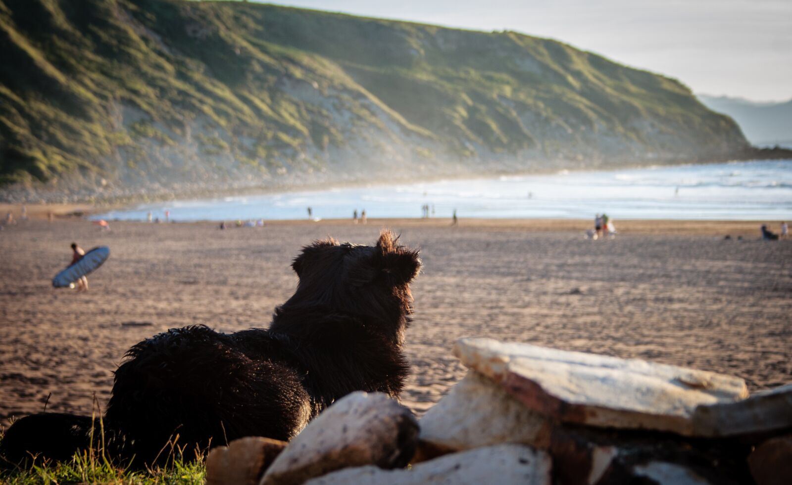 Canon EF-S 18-55mm F3.5-5.6 II sample photo. Dog, spain, beach photography