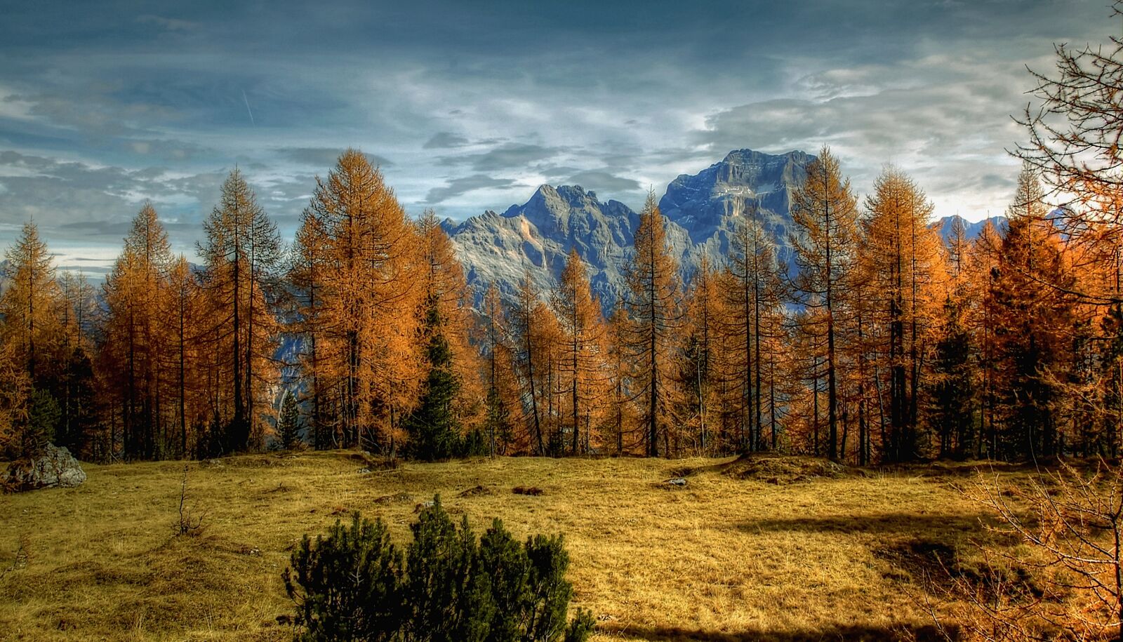 Nikon D40 sample photo. Dolomites, sorapiss, alm photography