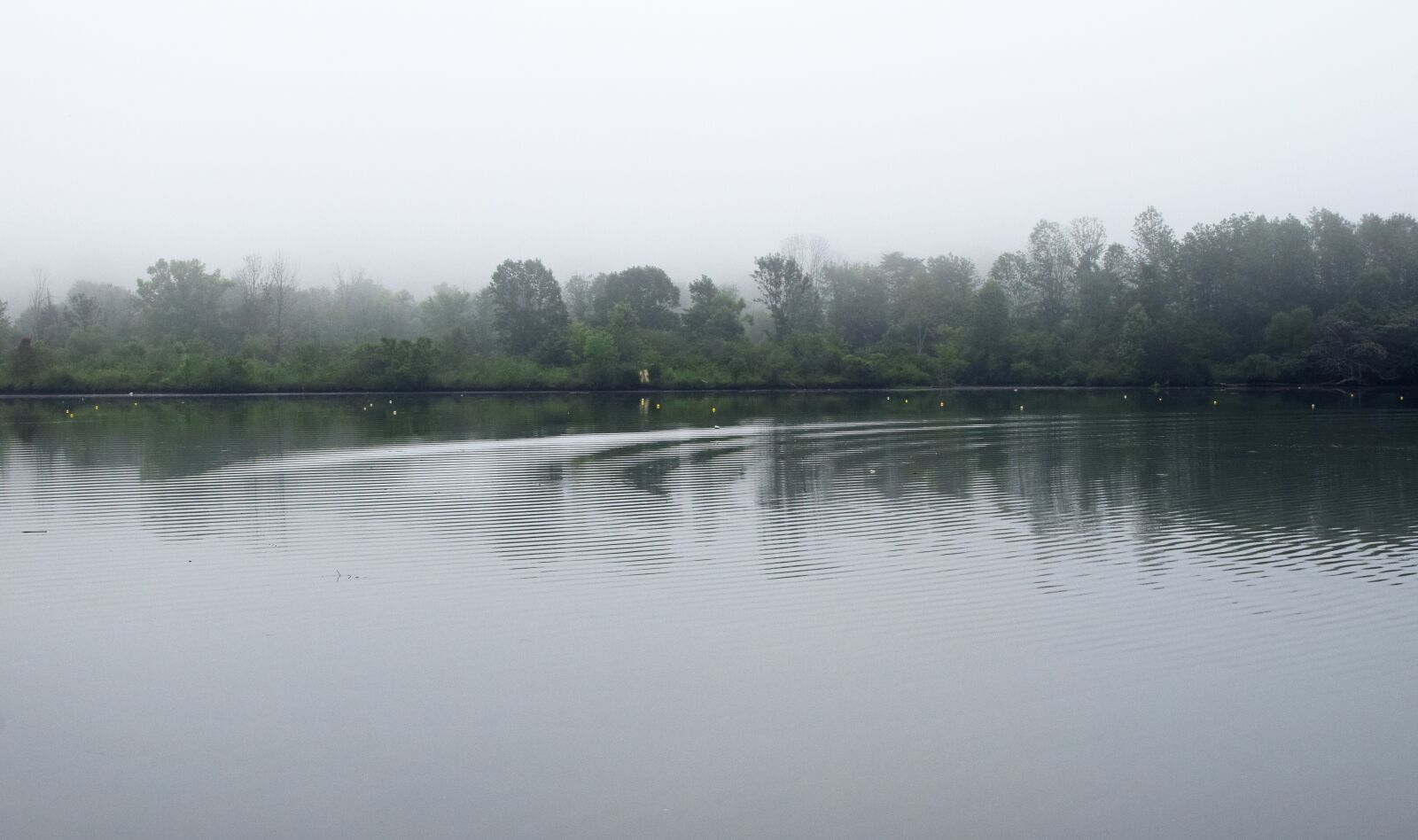 Nikon D3300 sample photo. Ripples in the water photography