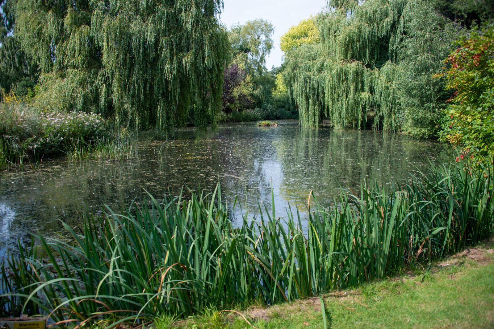 Nikon D800 sample photo. English, country, garden photography