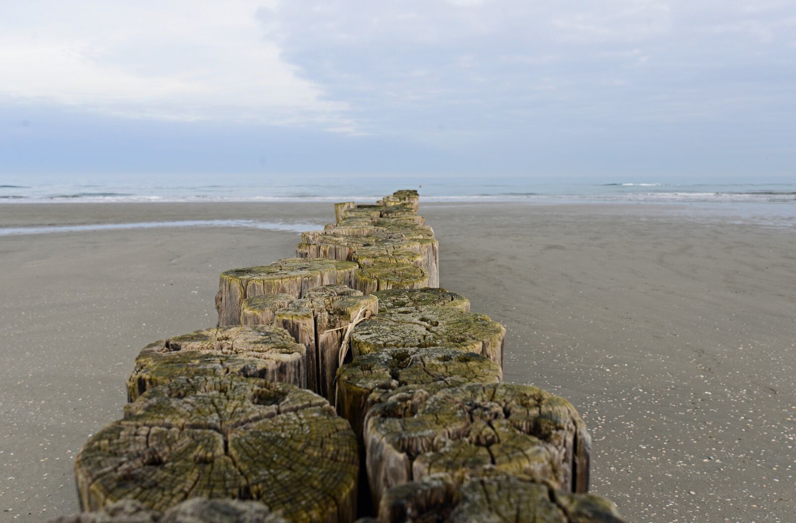 Nikon D610 sample photo. Beach, sand, sea photography