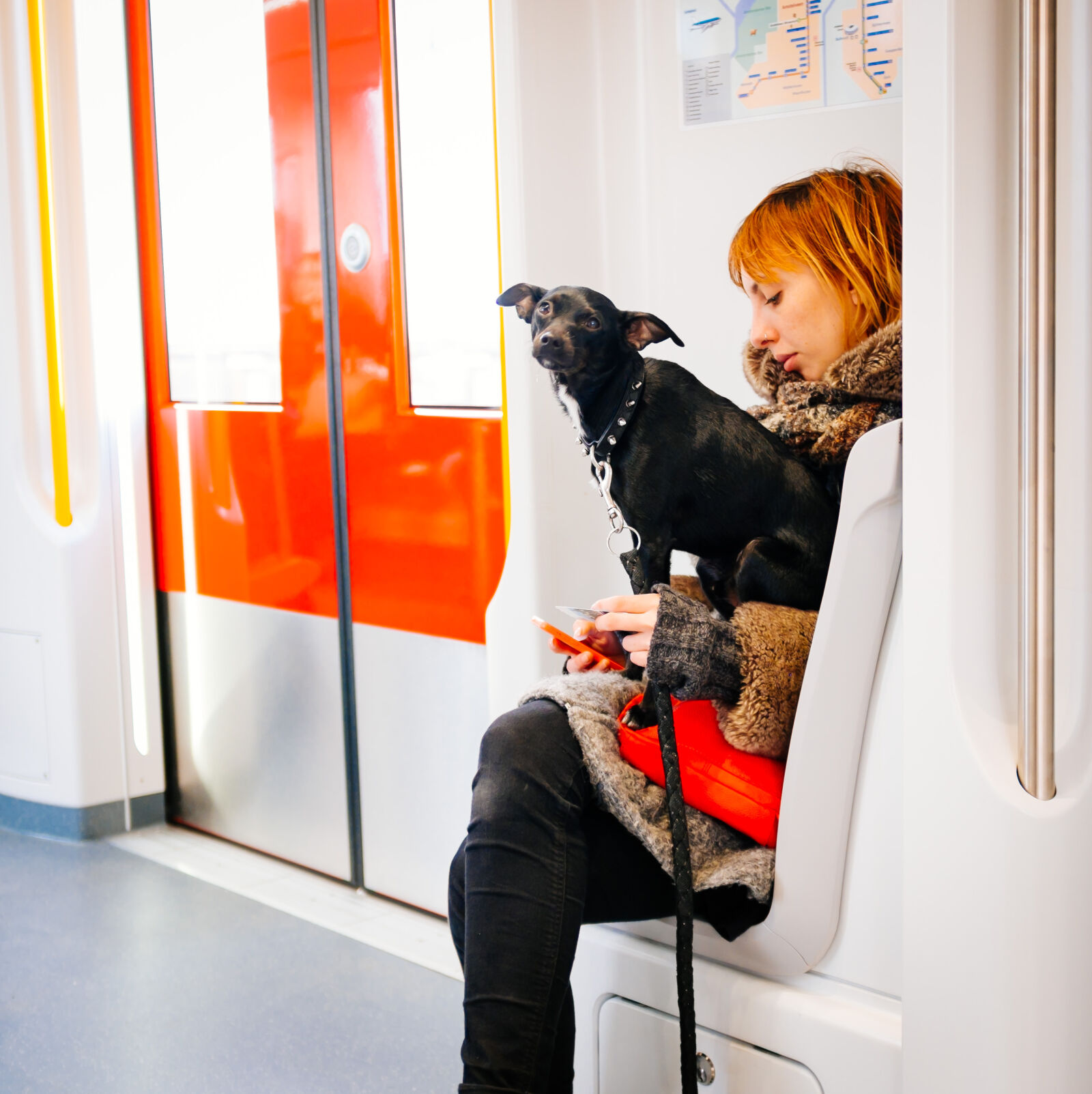 Fujifilm X100S sample photo. Dog, metro photography