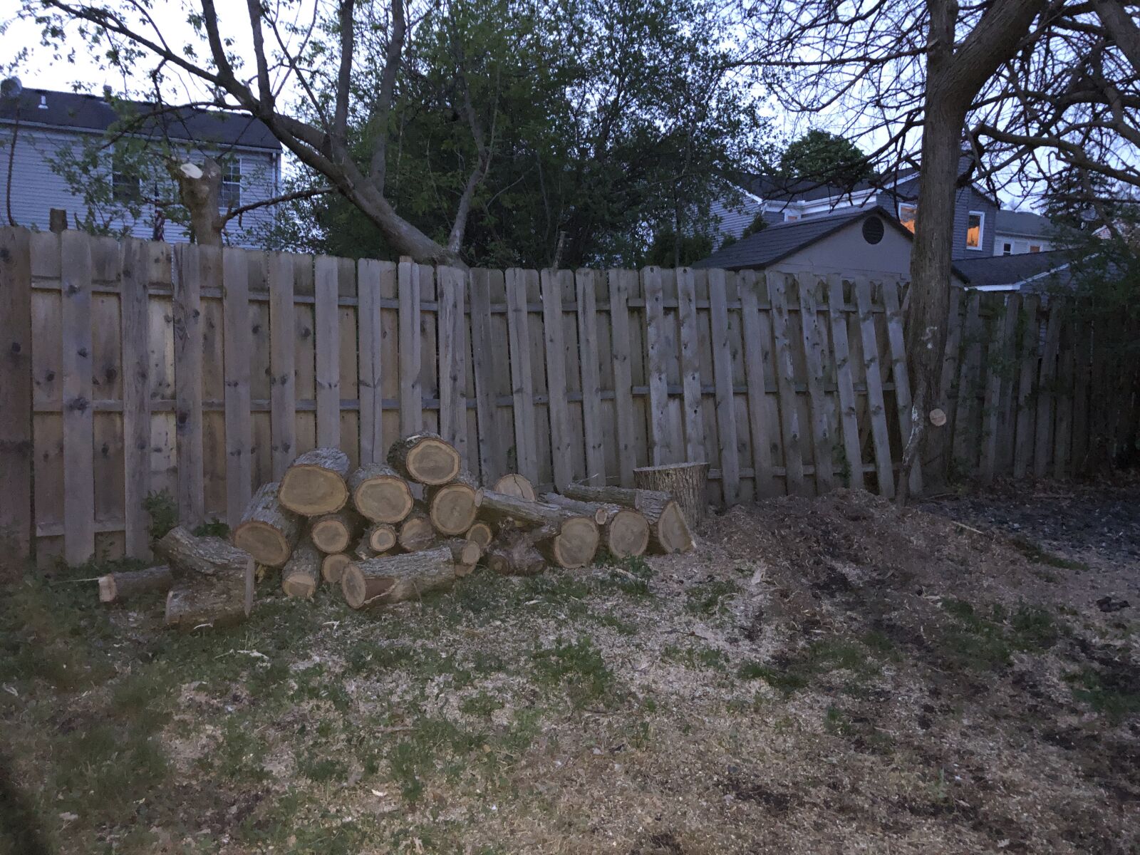 iPhone 8 back camera 3.99mm f/1.8 sample photo. Fence, logs, wood photography