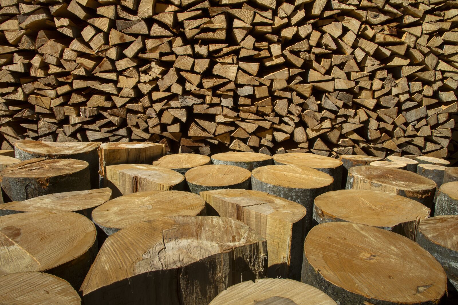 Canon EOS 7D sample photo. Wood, holzstapel, growing stock photography