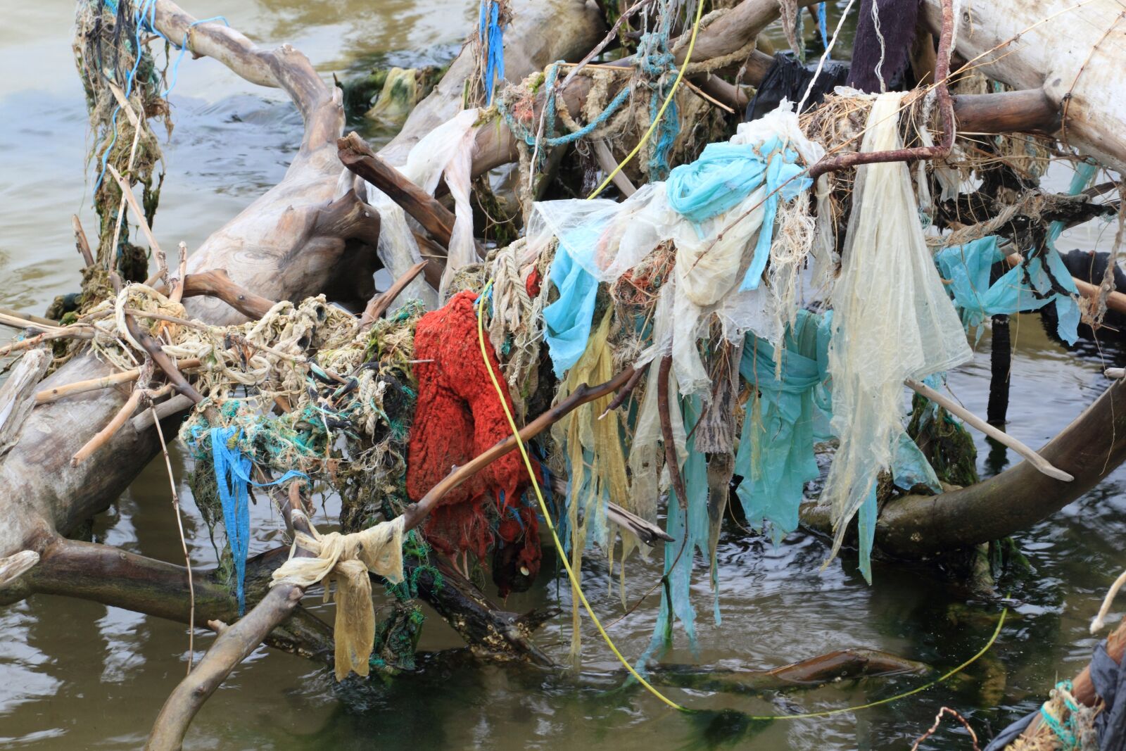 Canon EOS 550D (EOS Rebel T2i / EOS Kiss X4) sample photo. Latvia, kolka, pollution photography