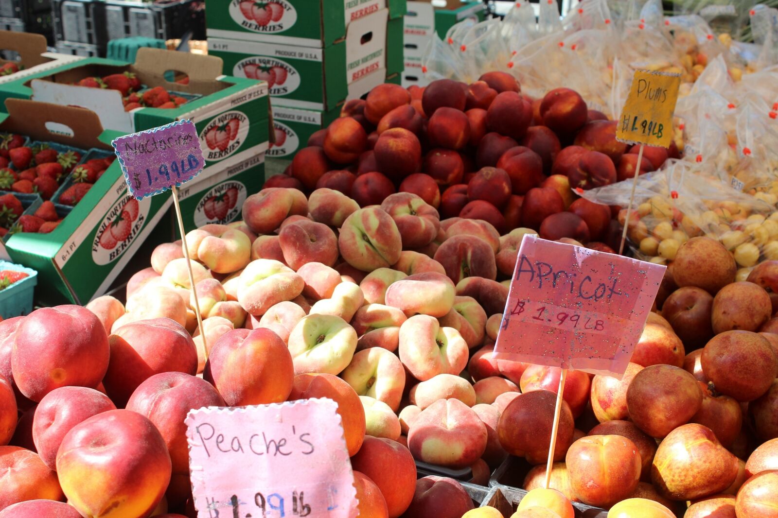 Canon EOS 600D (Rebel EOS T3i / EOS Kiss X5) sample photo. Peaches, apricots, plums photography