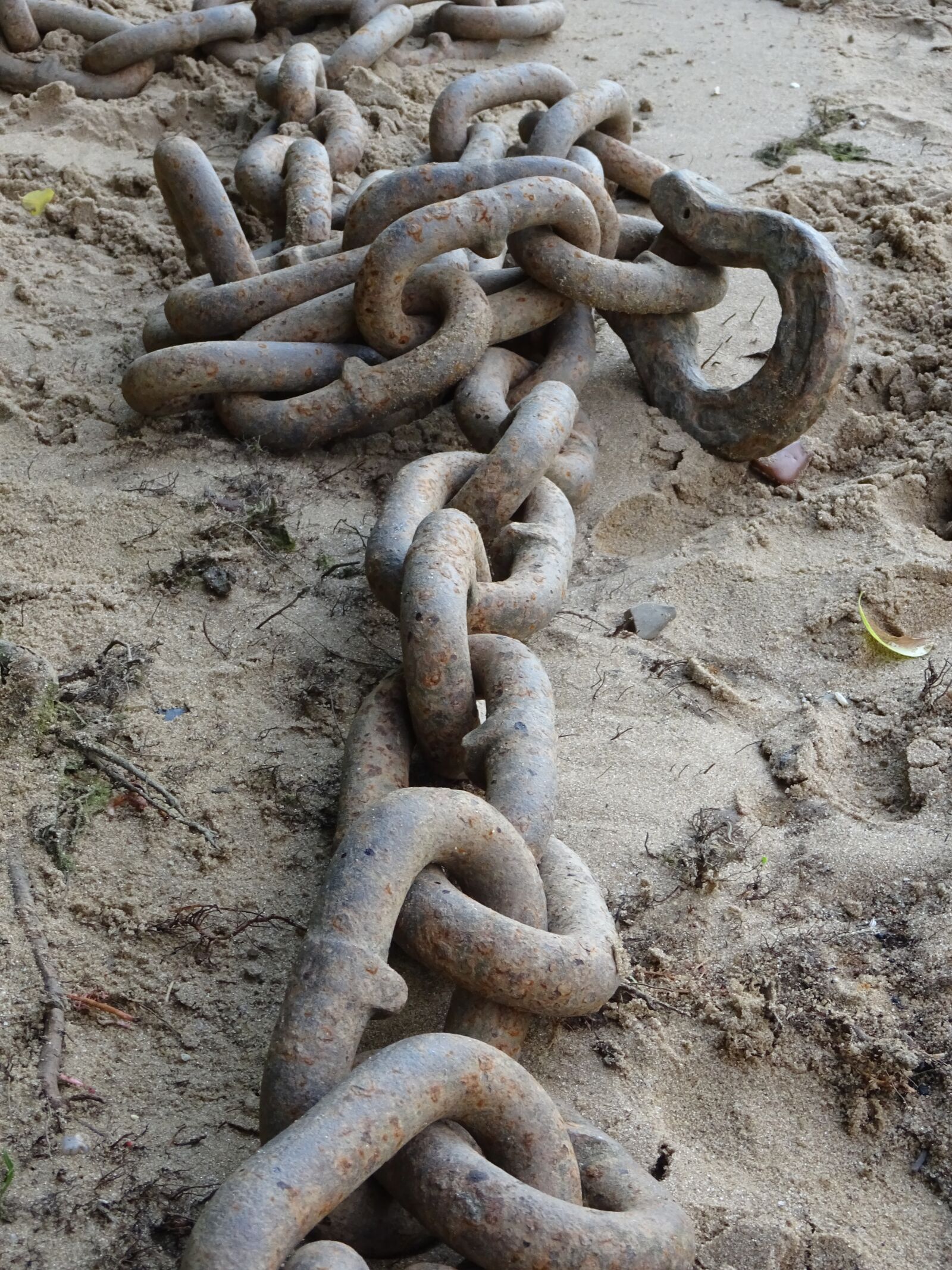 Sony DSC-HX60 sample photo. Chain, steel, strong photography