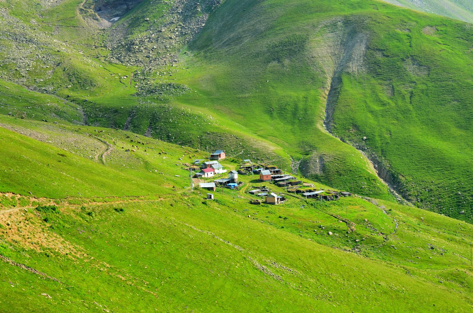 Nikon D5100 sample photo. Nature, landscape, landscapes nature photography