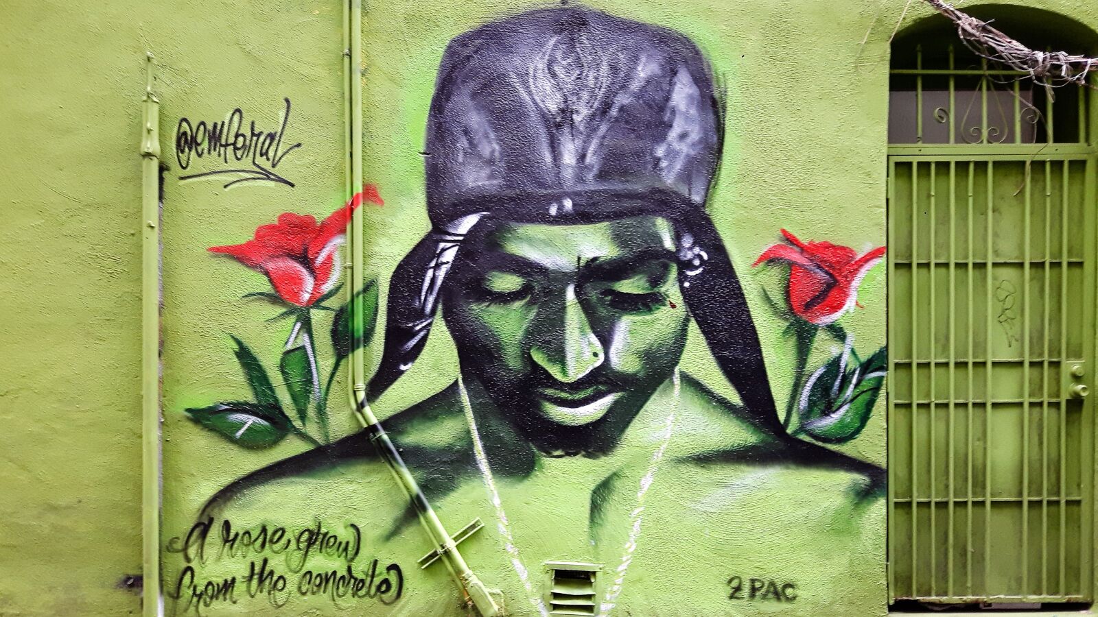 Samsung Galaxy S5 Neo sample photo. Graffiti, head, face photography