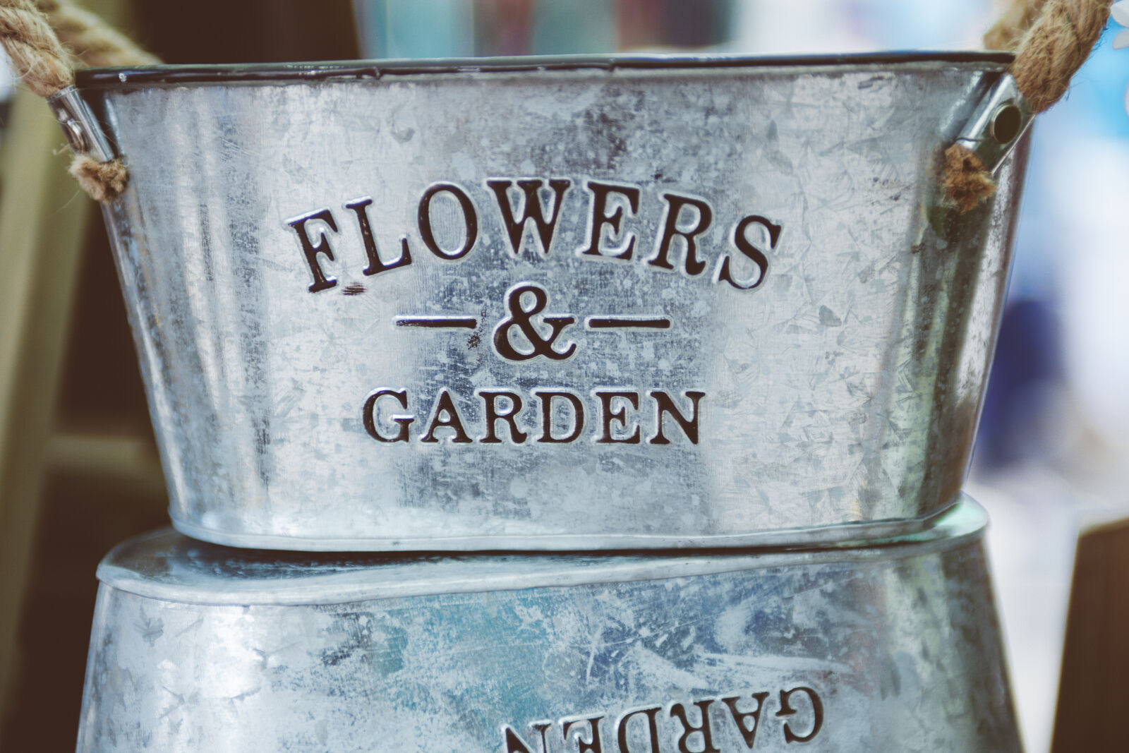 Canon EF 28-70mm f/2.8L USM sample photo. Gray, steel, flower, and photography