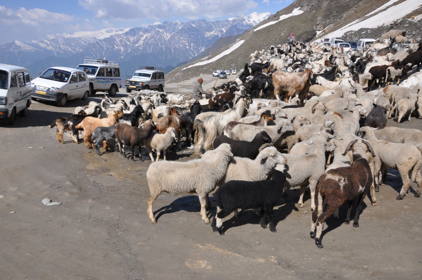 Nikon D90 sample photo. Rothang, pass, route photography