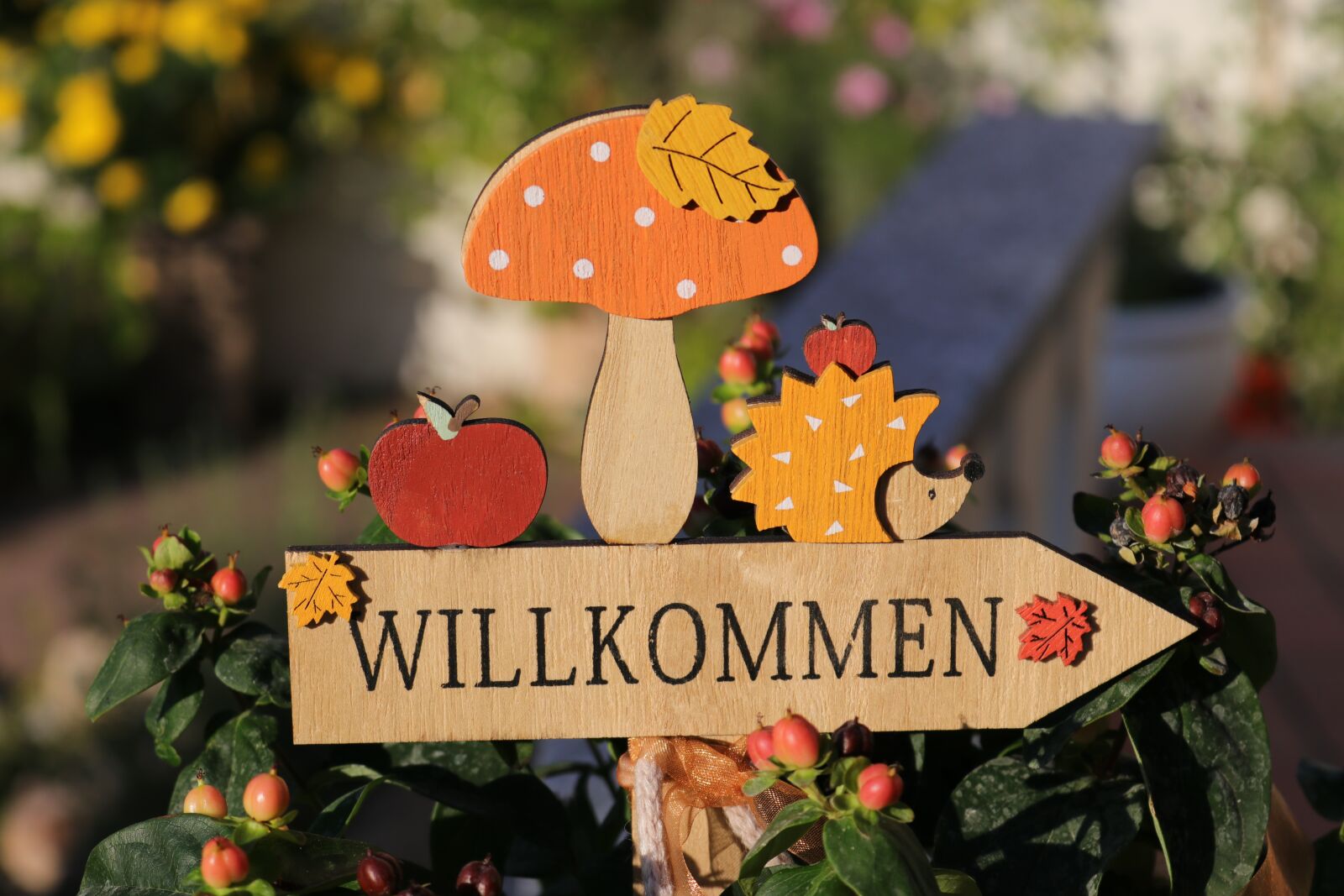 Canon EOS 80D sample photo. Autumn, welcome, autumn decoration photography