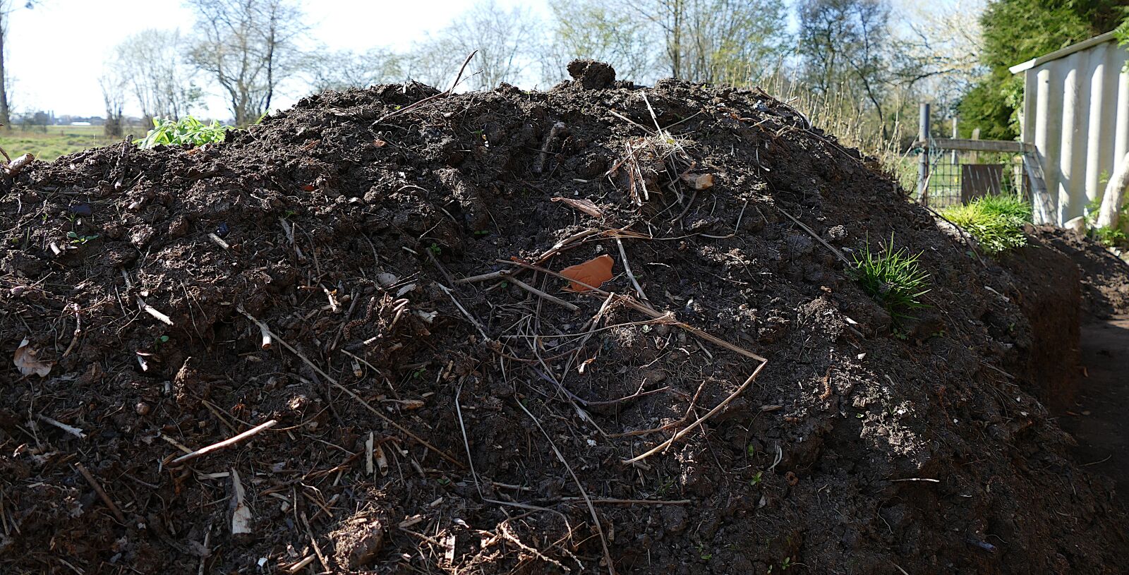 Panasonic Lumix DMC-FZ1000 sample photo. Compost, composting, waste photography