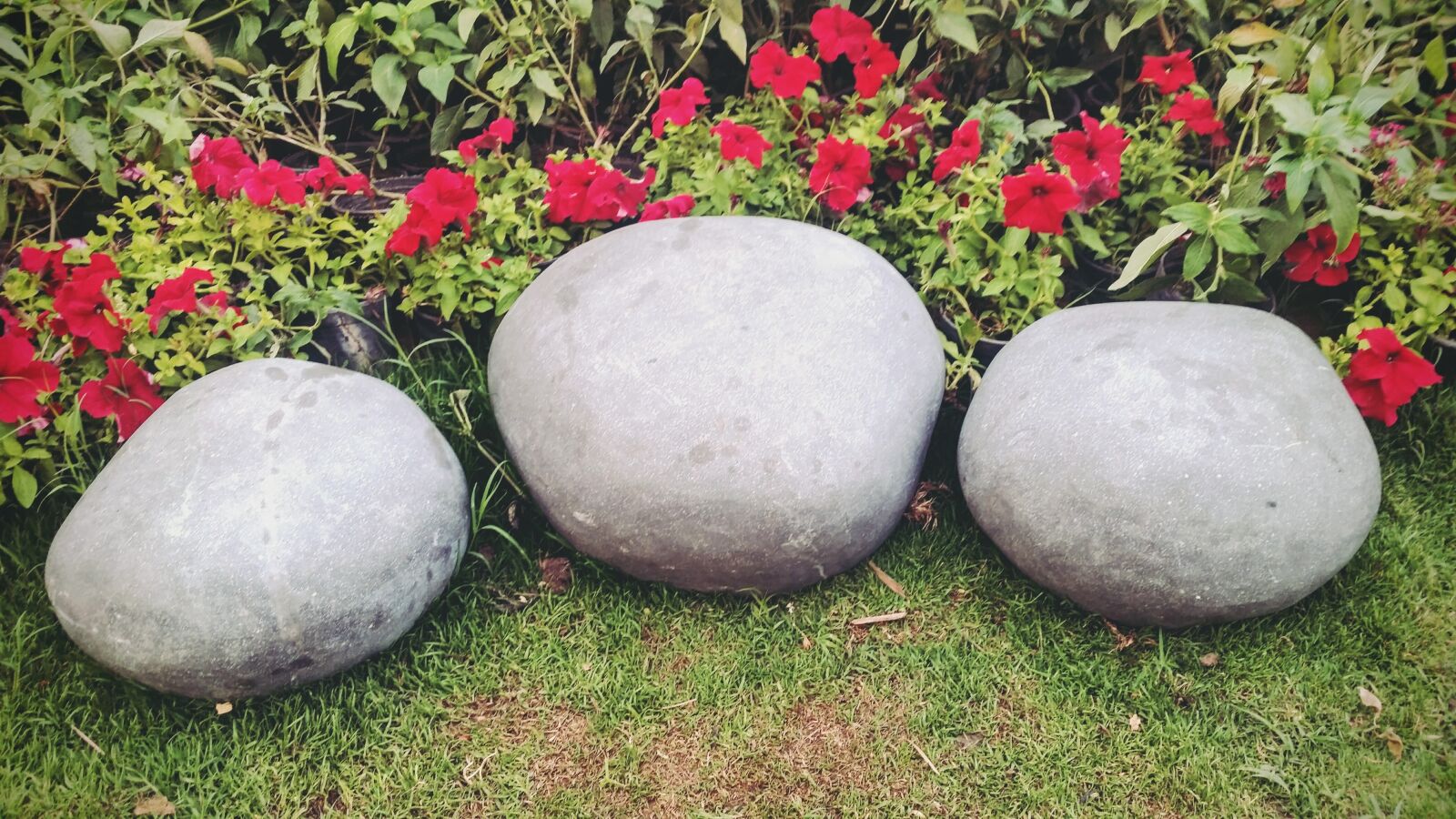 Samsung Galaxy S5 sample photo. Spring, stones, red photography