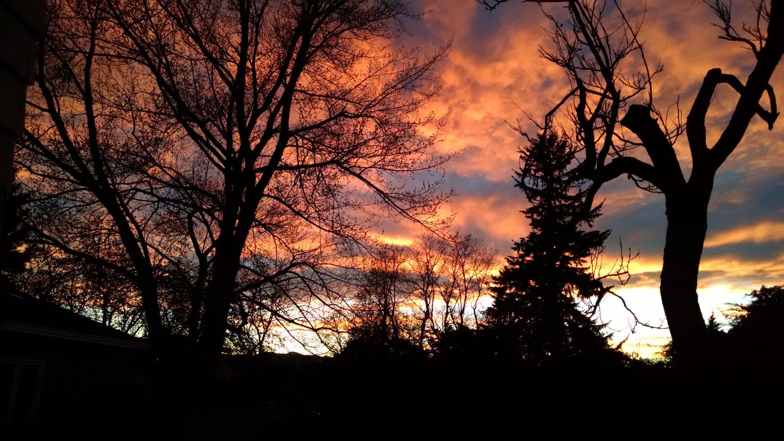 Motorola XT1080 sample photo. Sunset, trees, sky photography