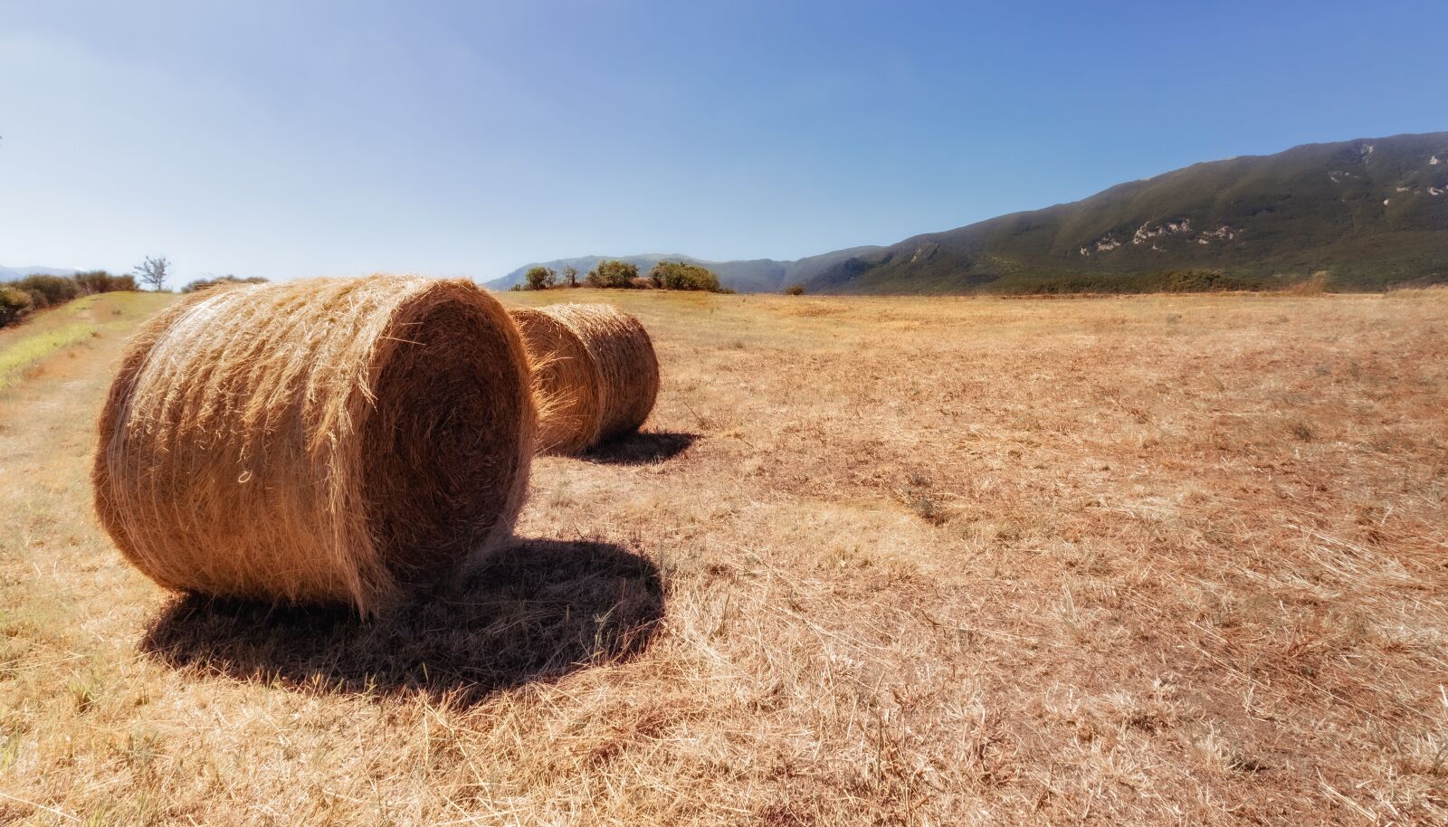 Canon EF-S 10-18mm F4.5–5.6 IS STM sample photo. Straw, bale, agriculture photography