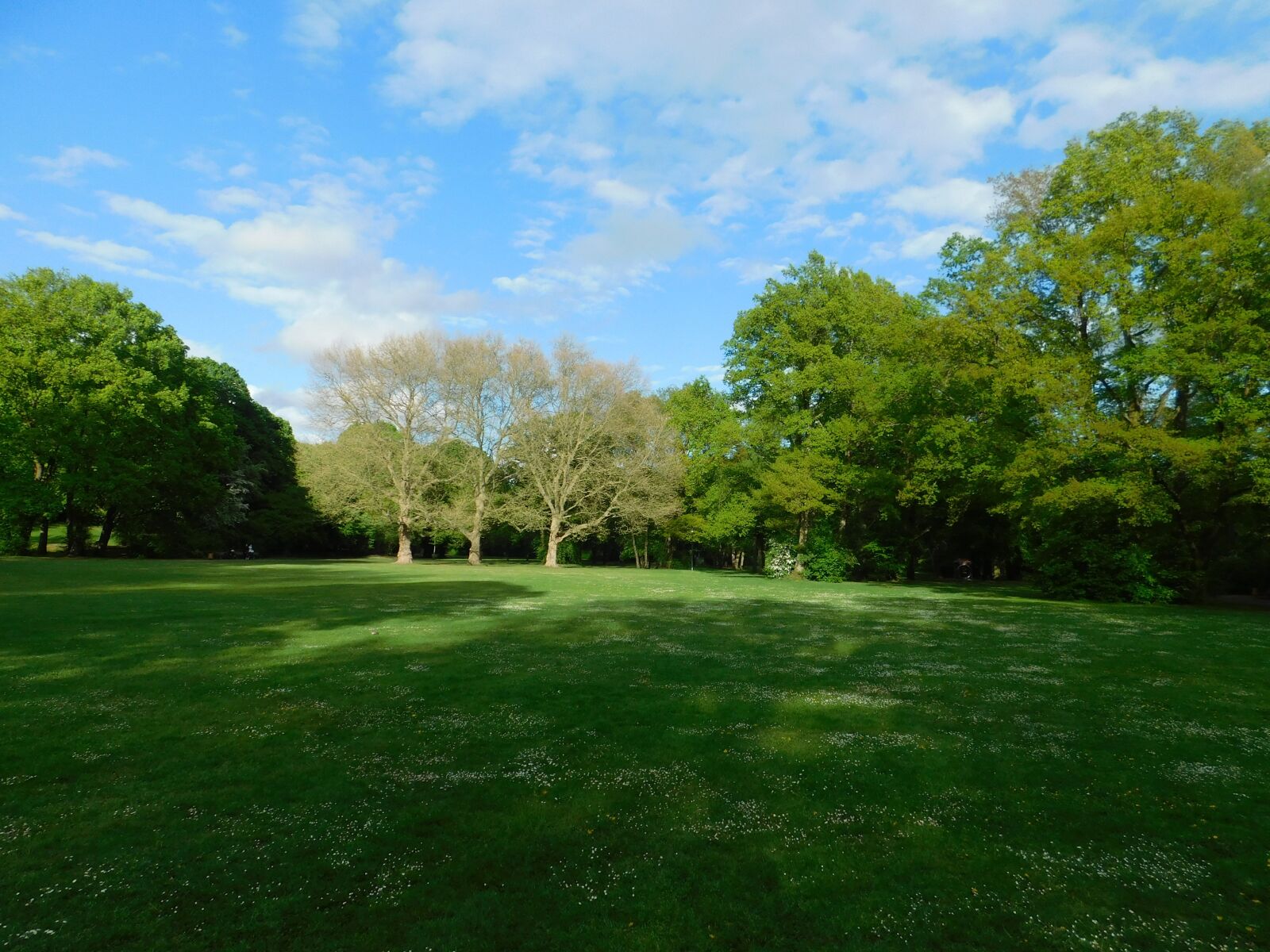 Nikon Coolpix B500 sample photo. Park, volkspark, blue sky photography