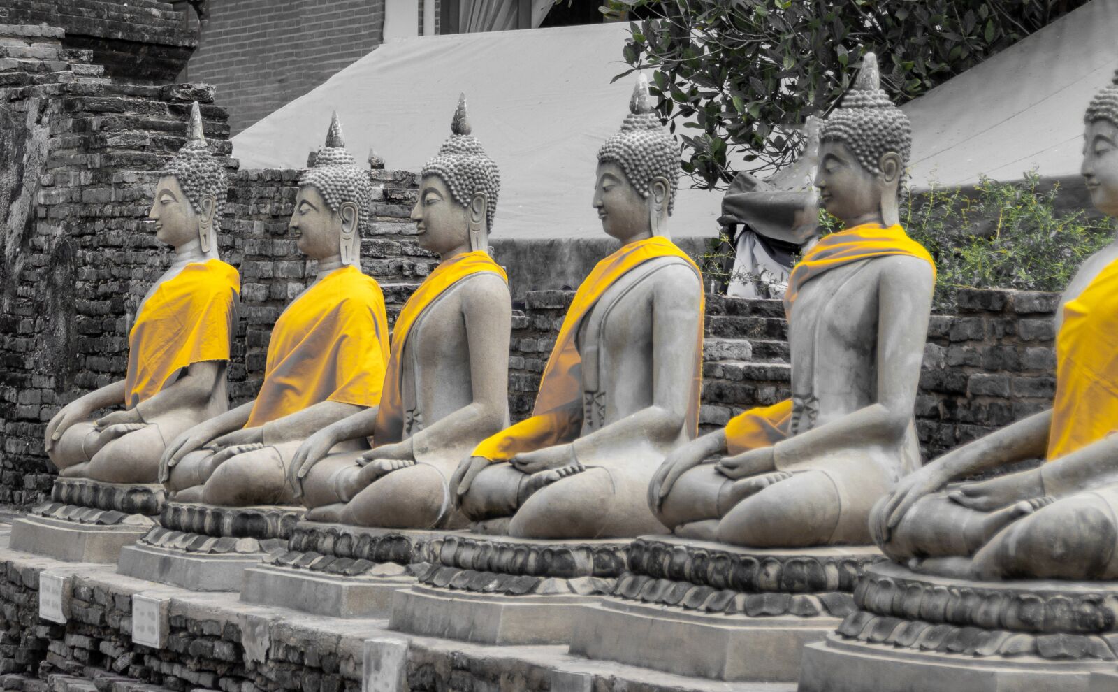 Nikon D5600 sample photo. Buddha, statue, meditation photography