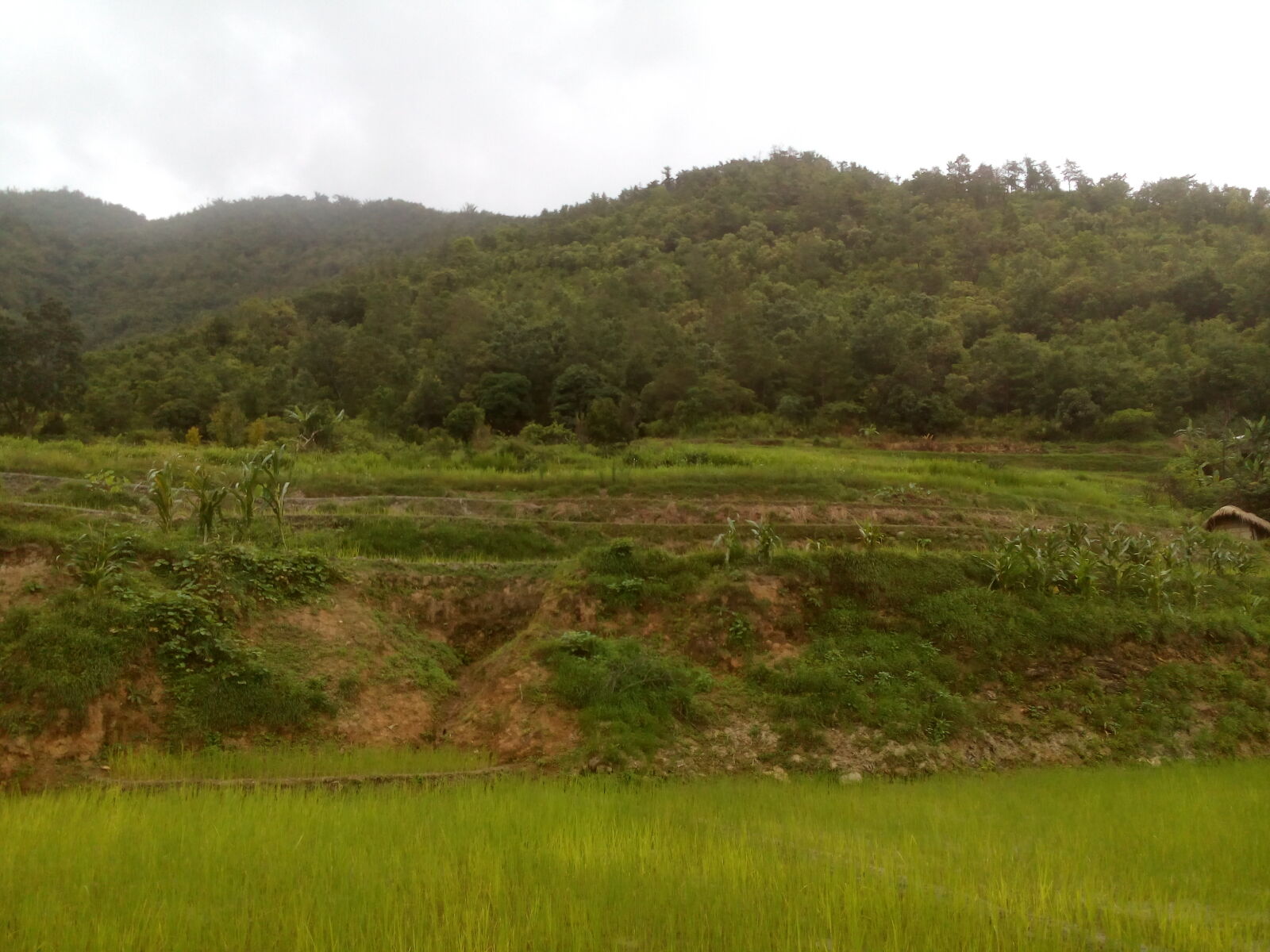 Micromax Canvas Spark sample photo