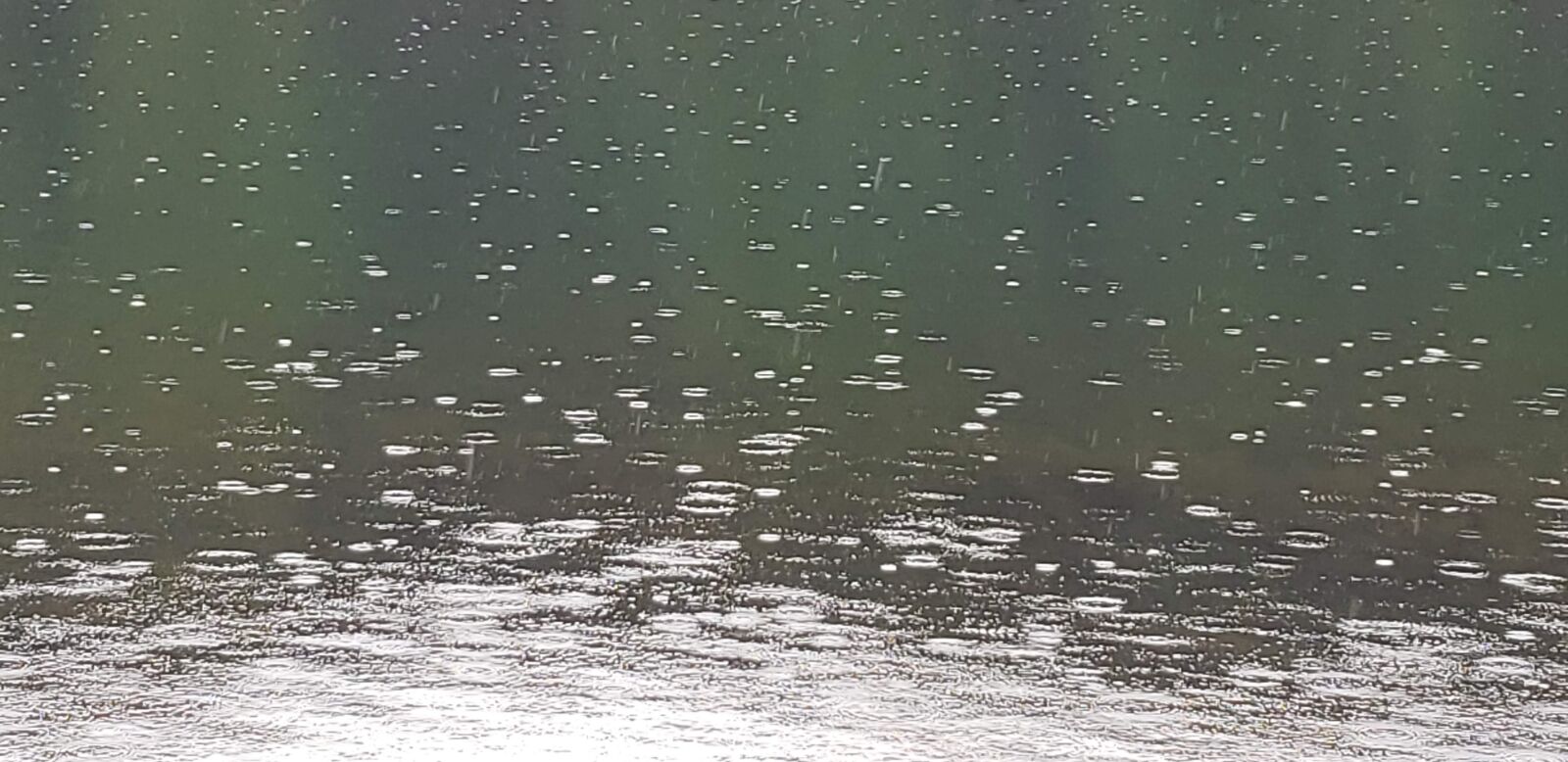 Samsung Galaxy S9+ sample photo. Raindrops, water, wet photography