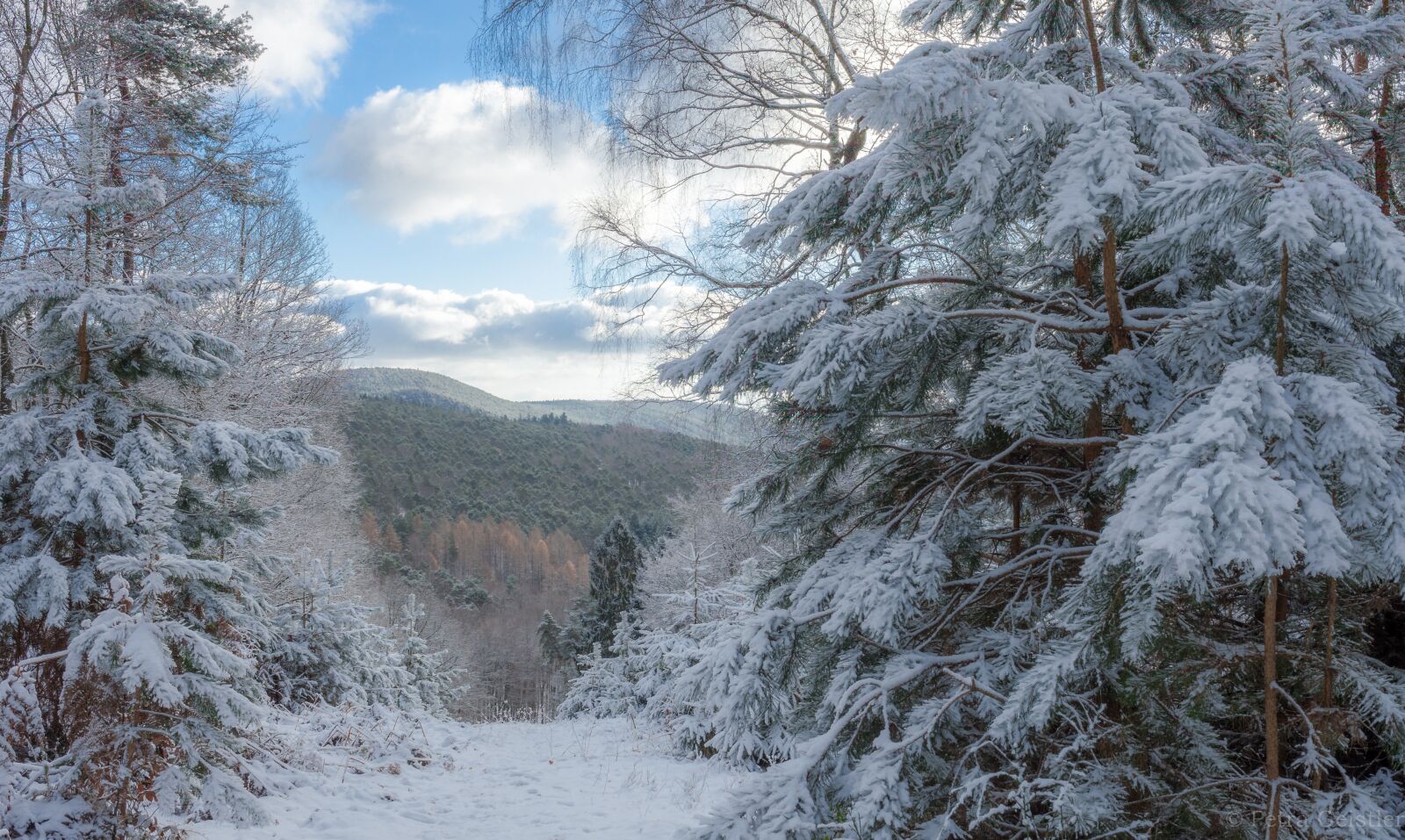 Canon EOS 5D Mark II sample photo. Snow, winter, nature photography