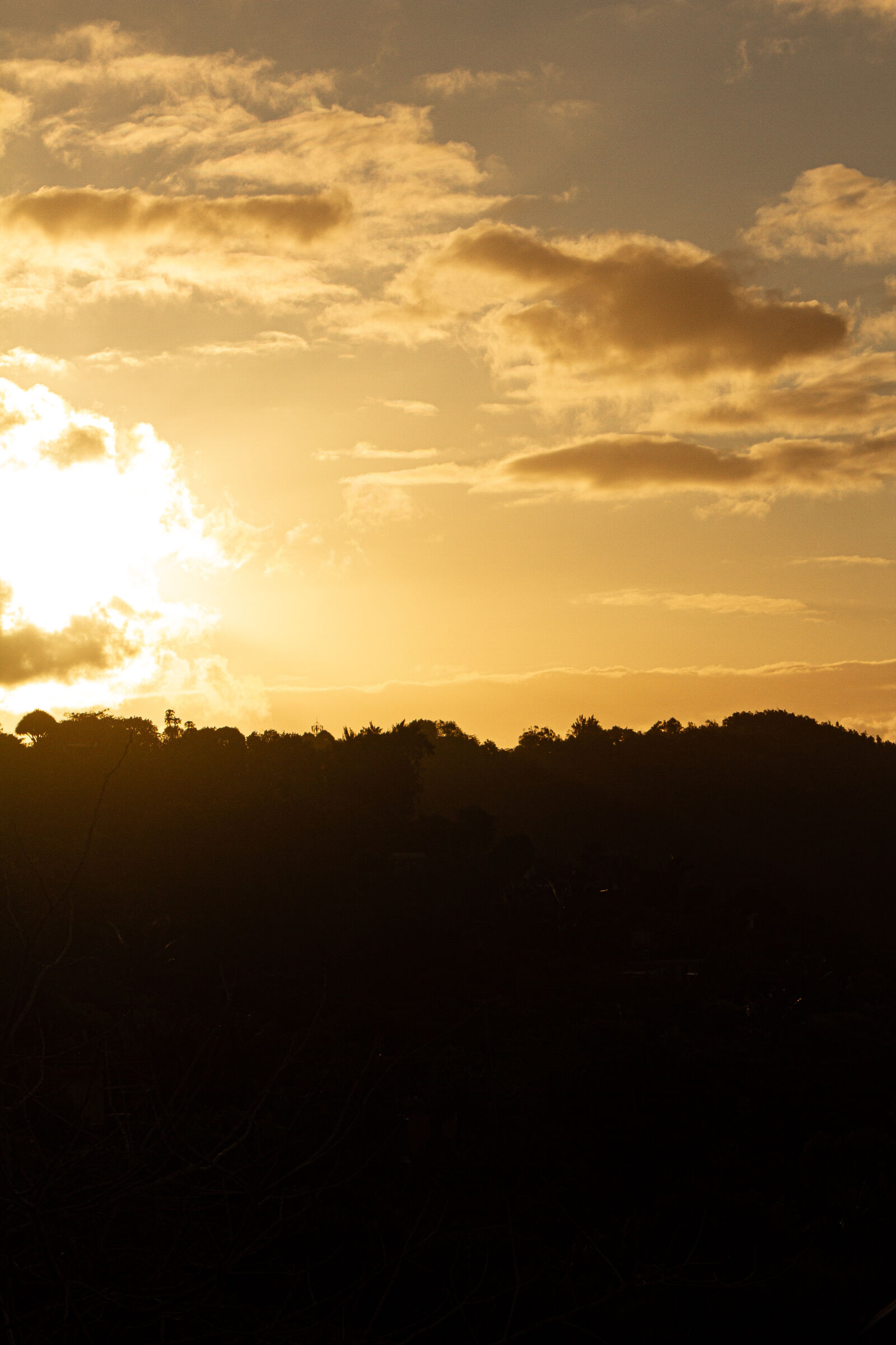 Canon EOS 7D sample photo