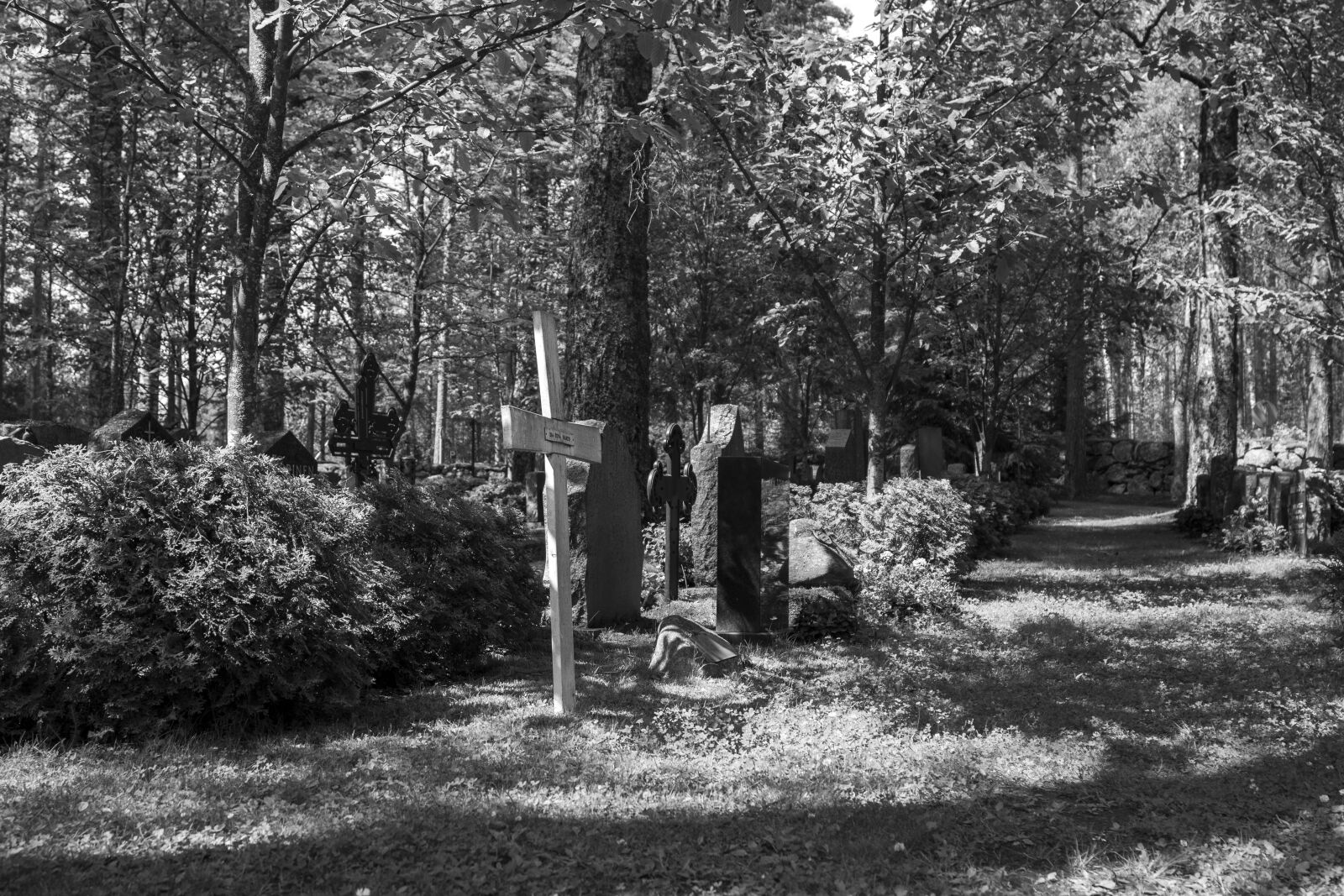 Canon EOS 70D + Canon EF 24-105mm F4L IS USM sample photo. Cemetery, grayscale, outdoors photography