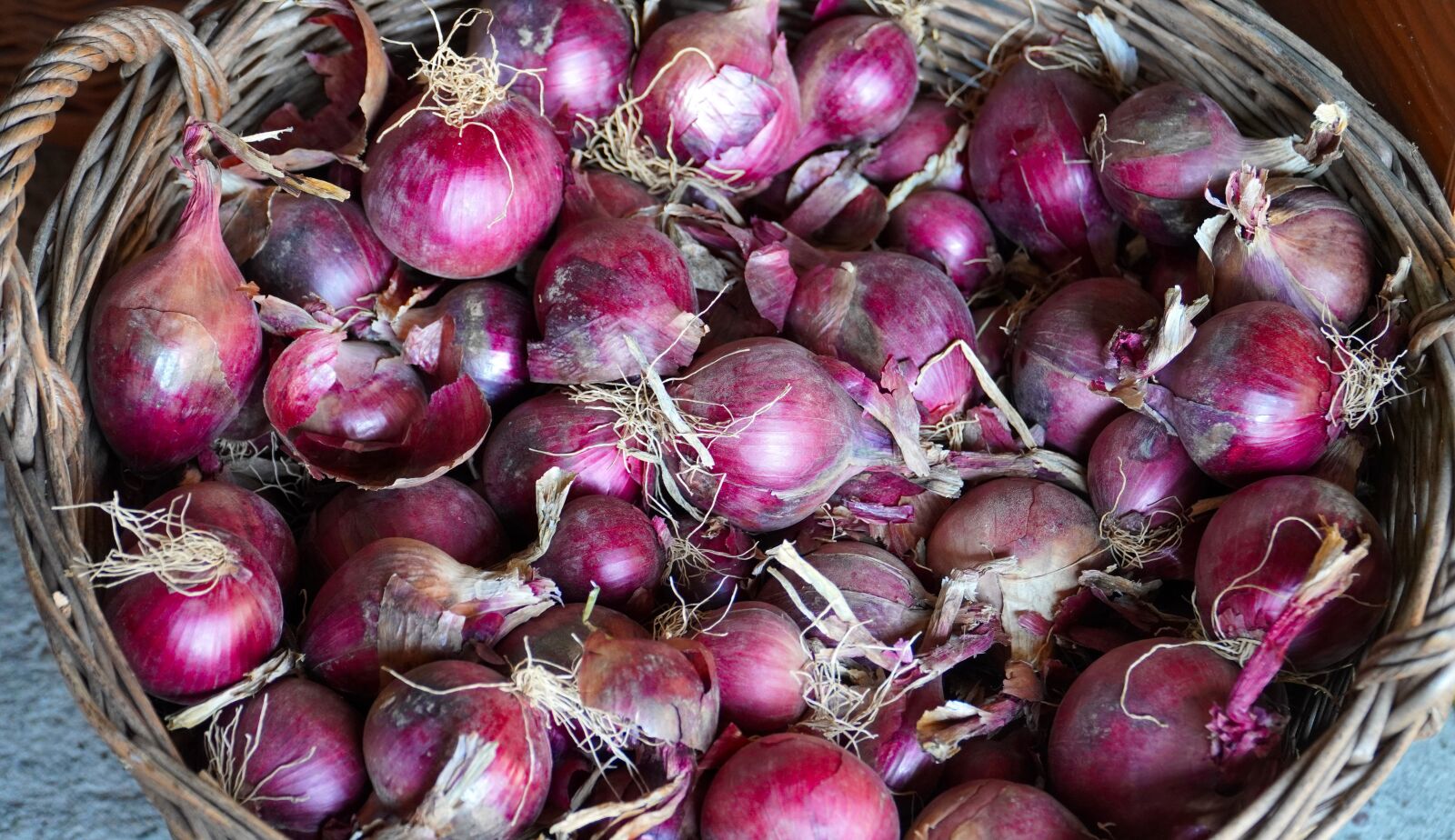 Sony E PZ 18-105mm F4 G OSS sample photo. Onions, red onions, harvest photography