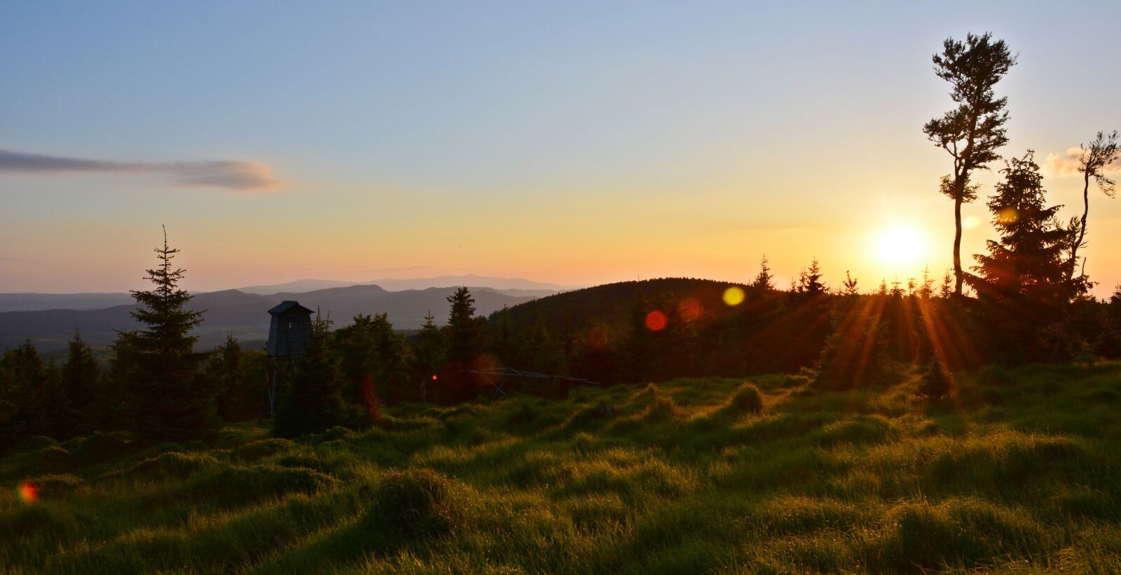 Nikon D5200 sample photo. Great owl, view, trail photography