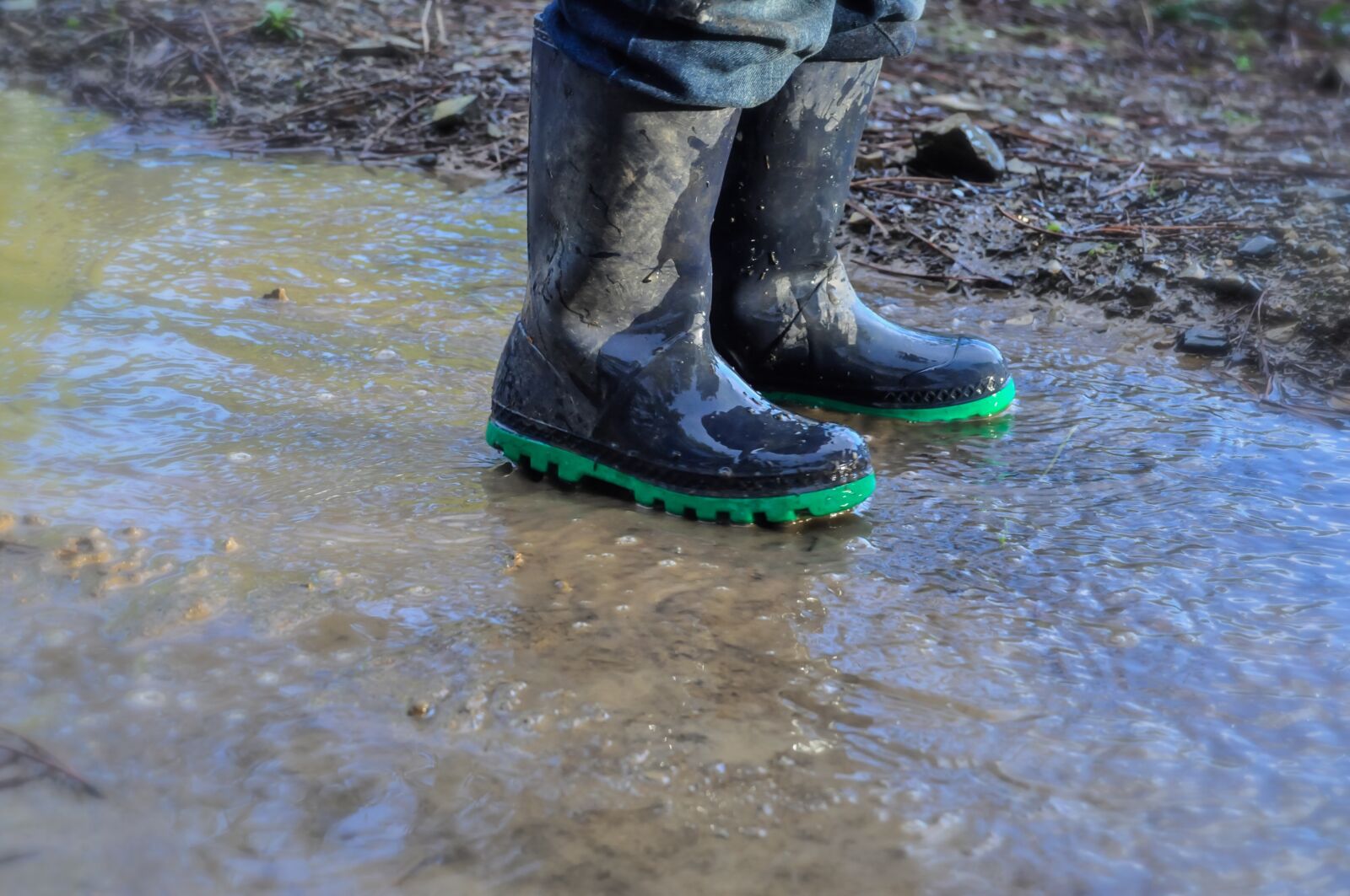 Nikon D90 sample photo. Rain boots, boots, shoes photography