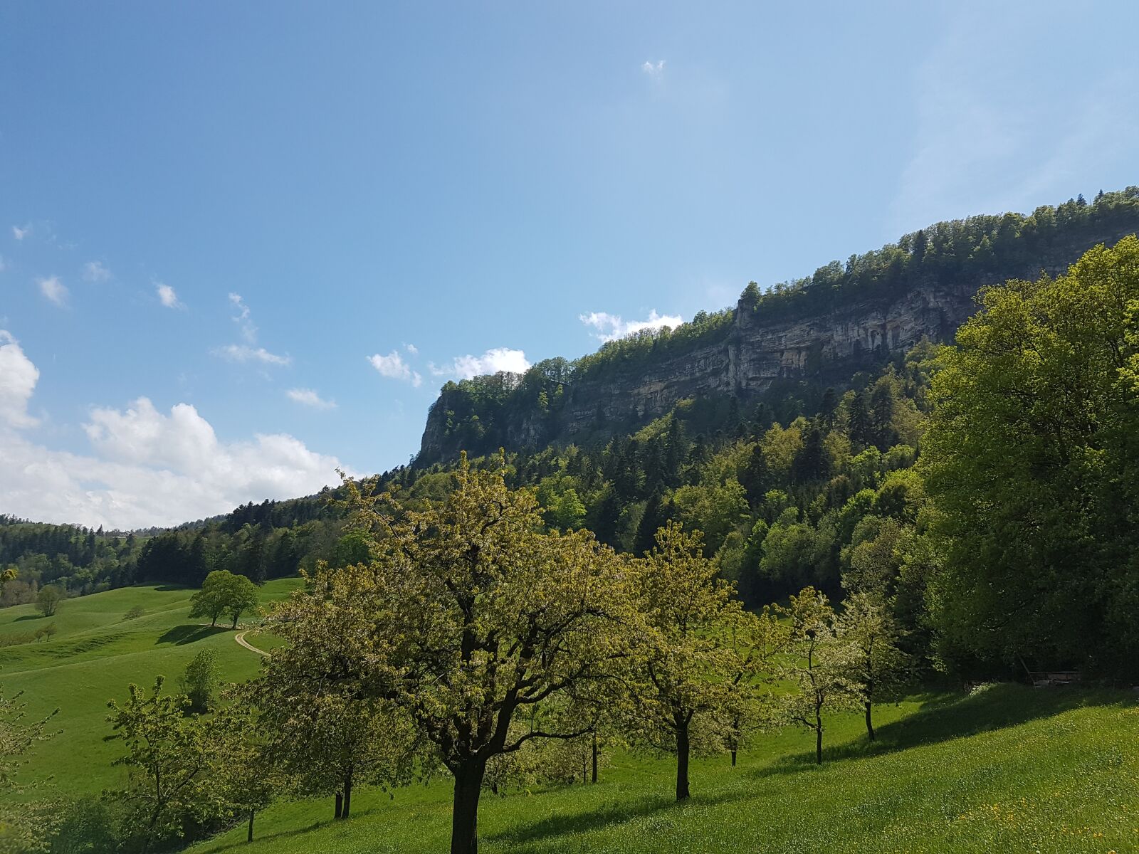 Samsung Galaxy S7 Edge sample photo. Switzerland, basel-land, eptingen photography