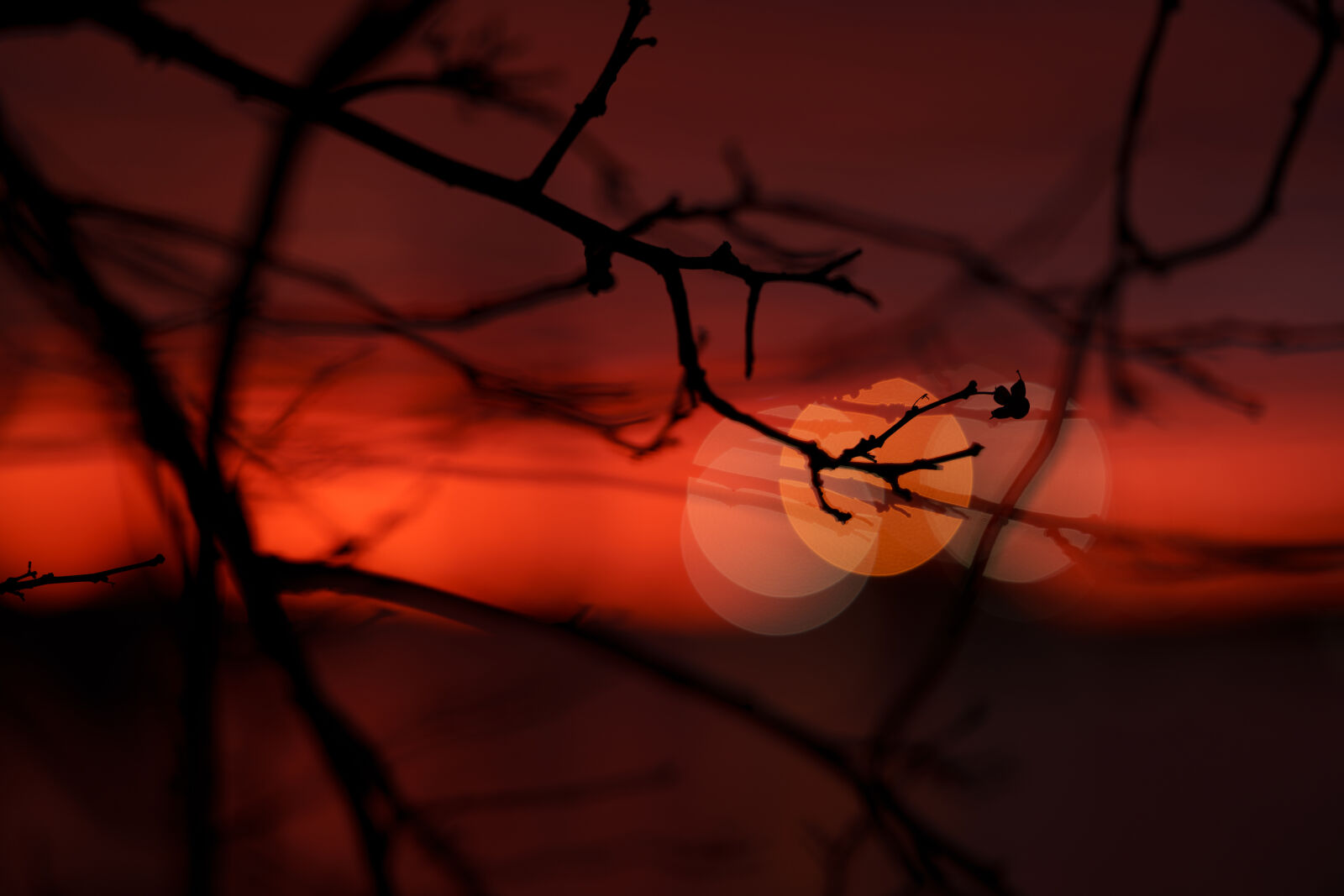 Sony FE 85mm F1.4 GM II sample photo. Last light of the photography