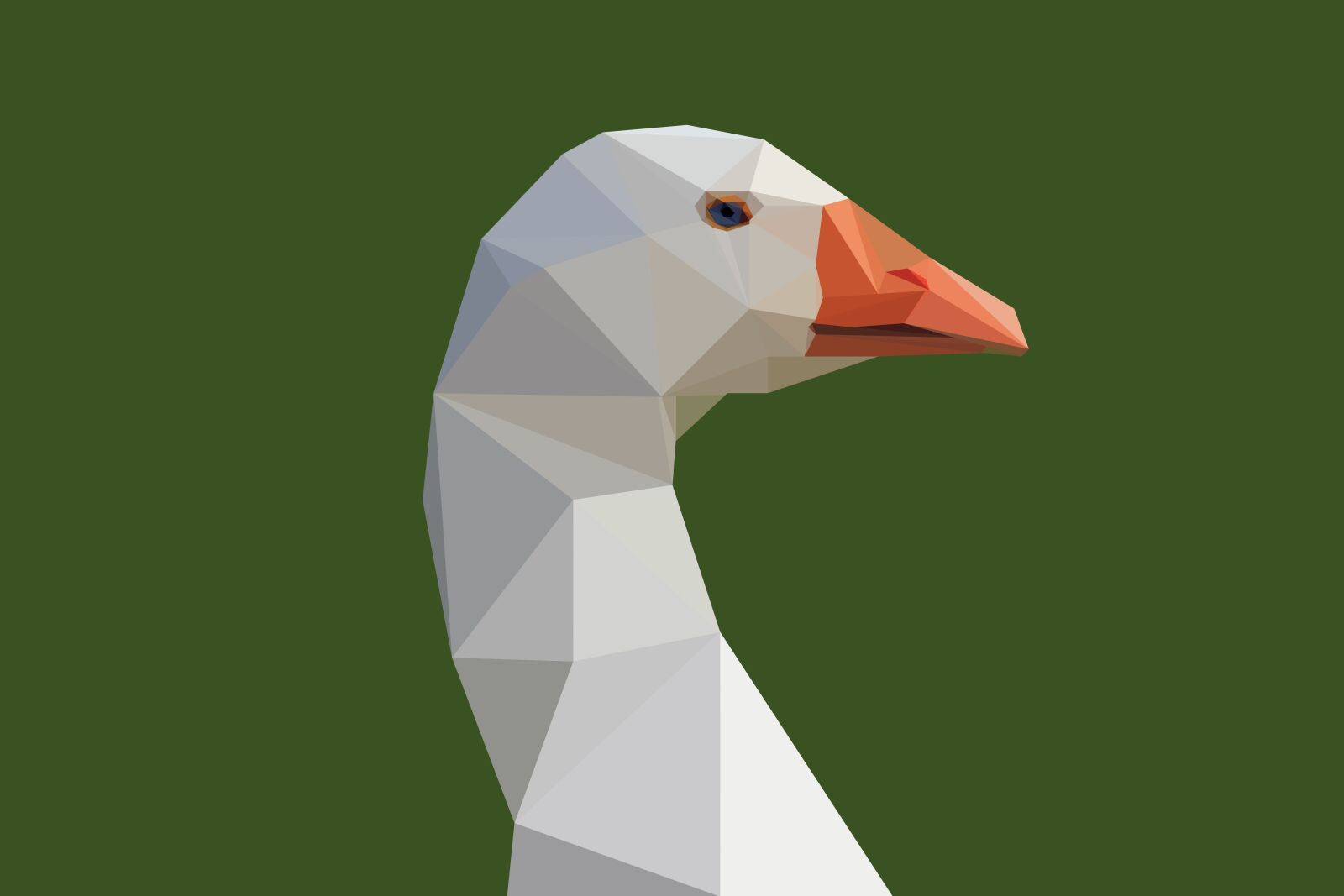 Canon EOS 550D (EOS Rebel T2i / EOS Kiss X4) sample photo. Goose, poultry, farm photography