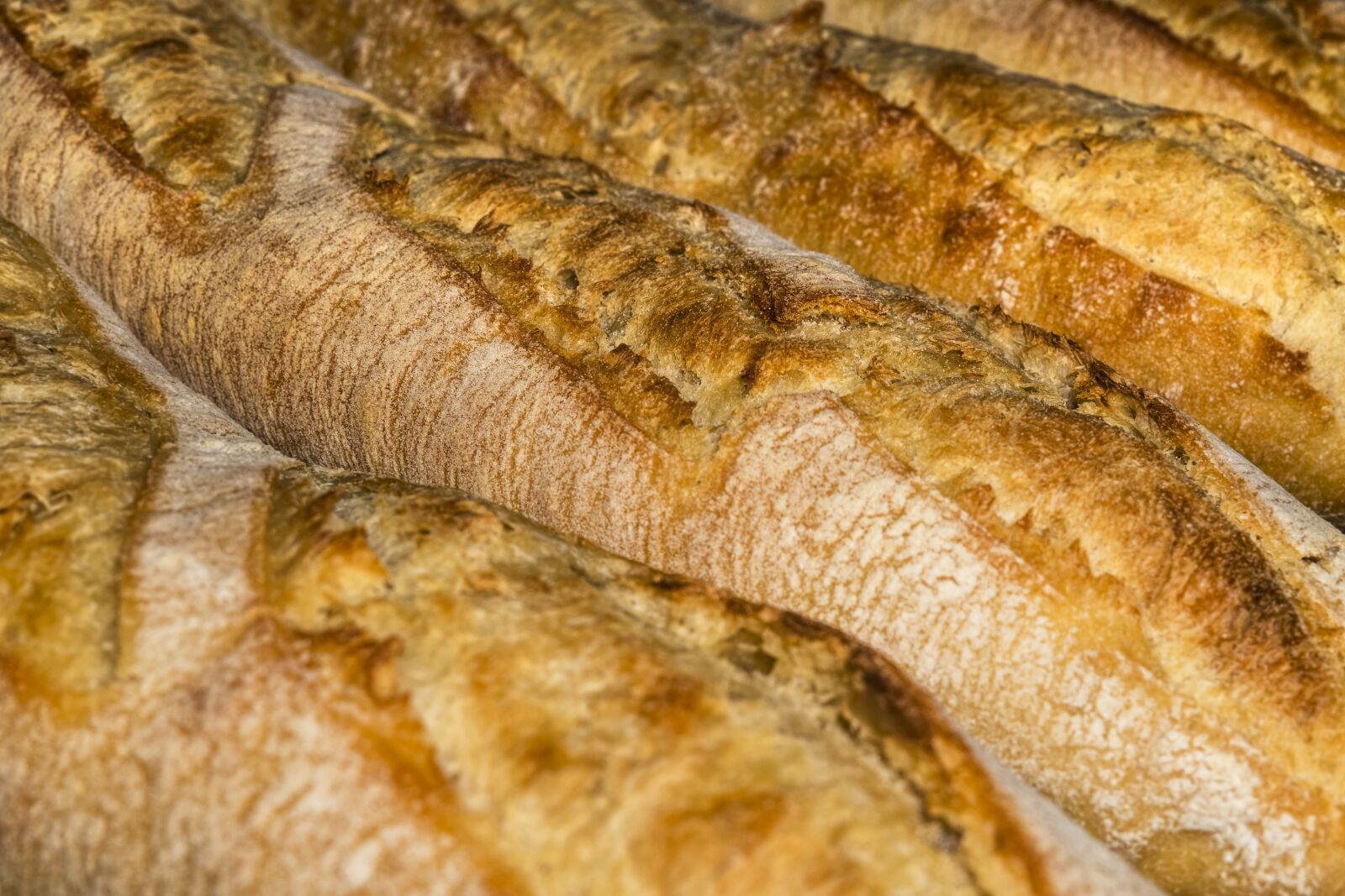 Sony a6300 sample photo. Baguette, bread, food photography
