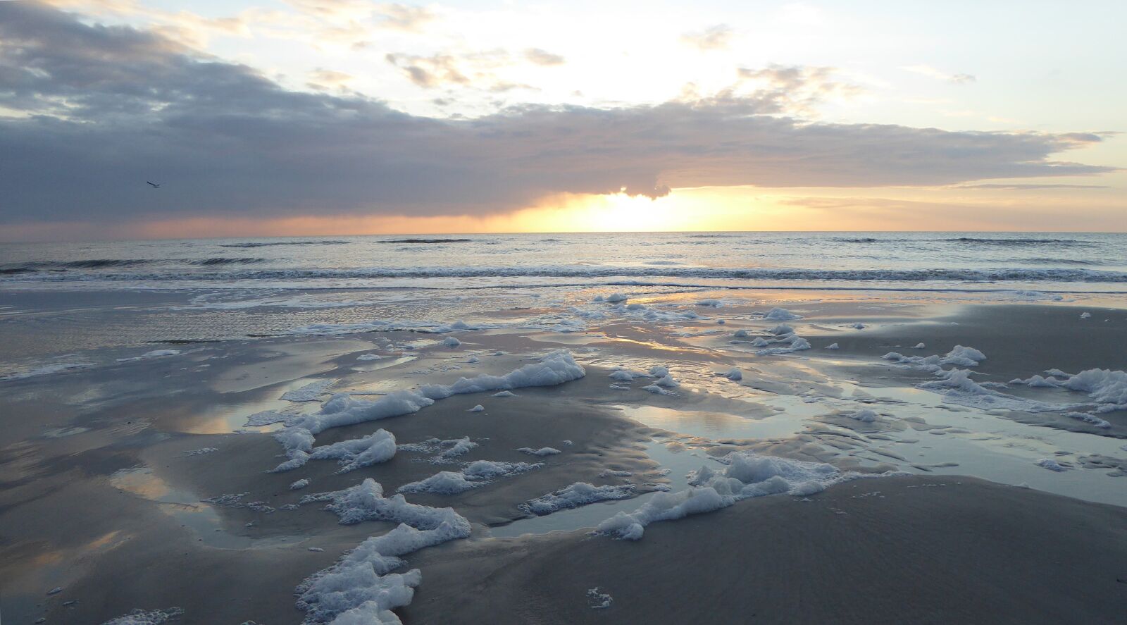 Panasonic DMC-TZ61 sample photo. Beach, sunset, st peter-ording photography