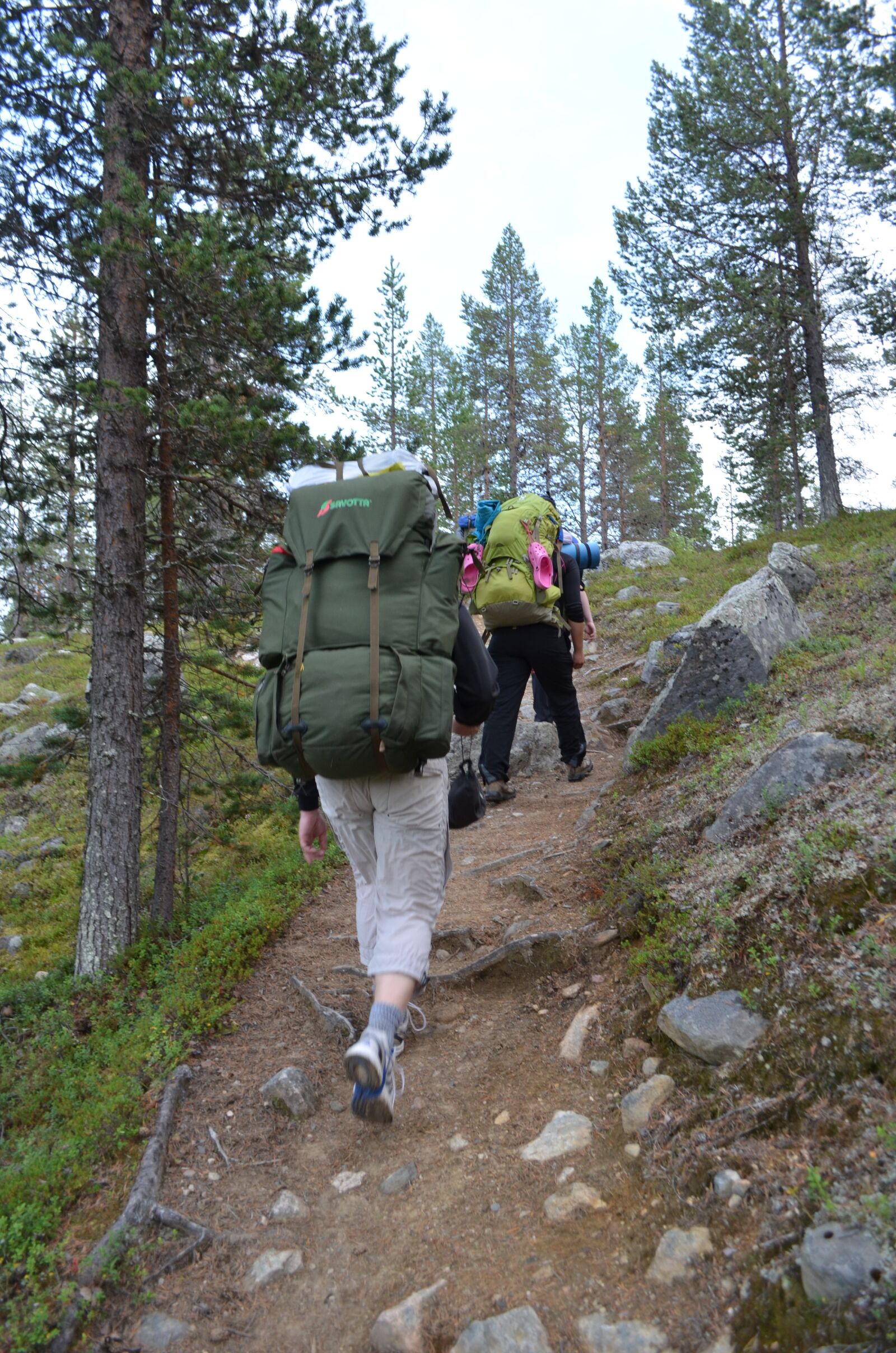 Nikon D5100 sample photo. The path, hetta-pallas, hike photography