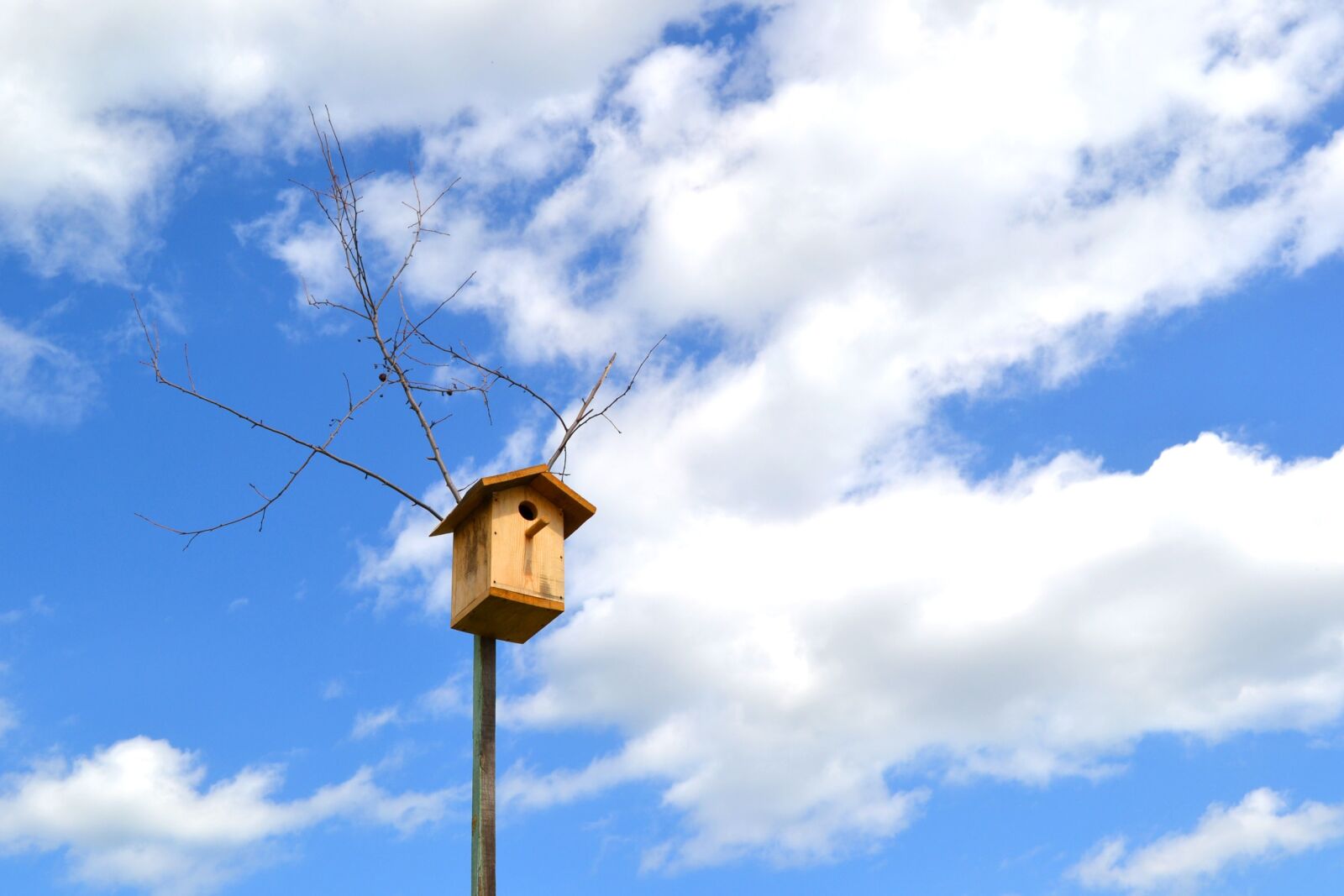 Nikon D3100 sample photo. Birdhouse, sky, clouds photography