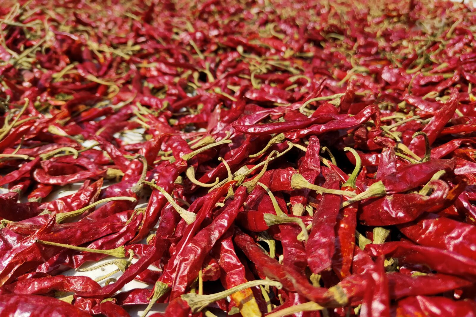 Realme 3 PRO sample photo. Red chill, hot chilli photography