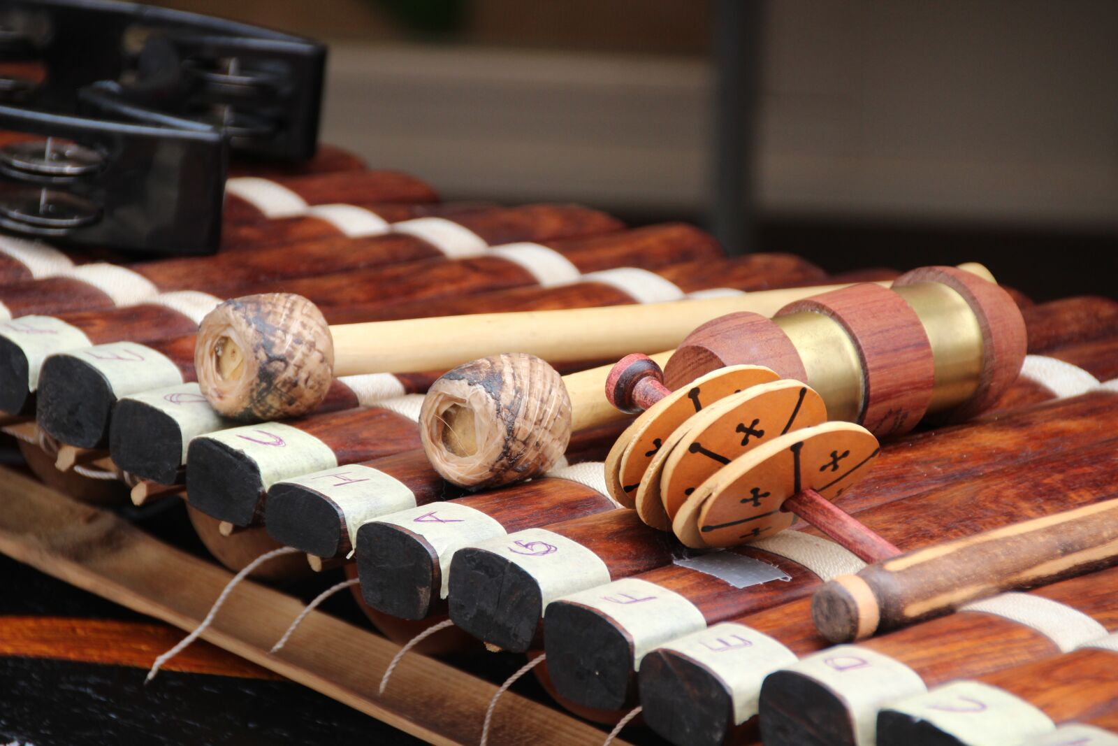 Canon EOS 600D (Rebel EOS T3i / EOS Kiss X5) sample photo. Xylophone, concert, percussion photography