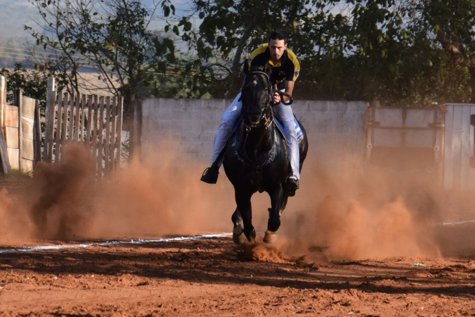 Nikon D5300 sample photo. Horse, knight, race photography
