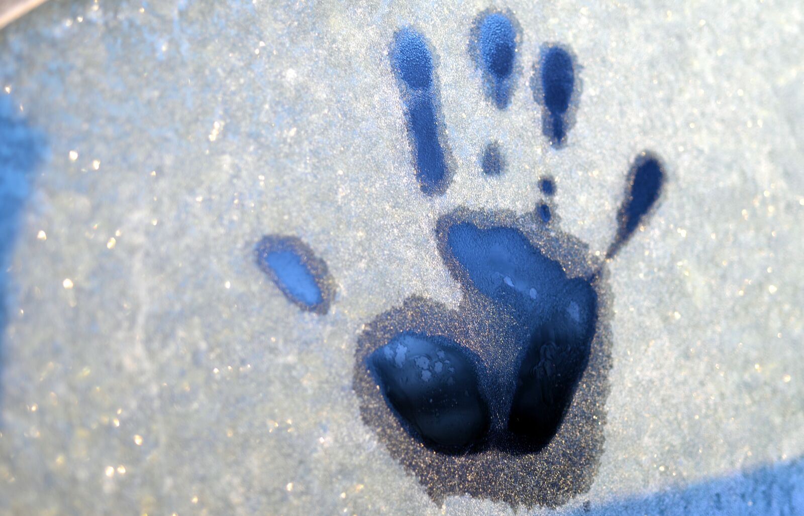 Nikon D610 sample photo. Hand, reprint, frozen photography
