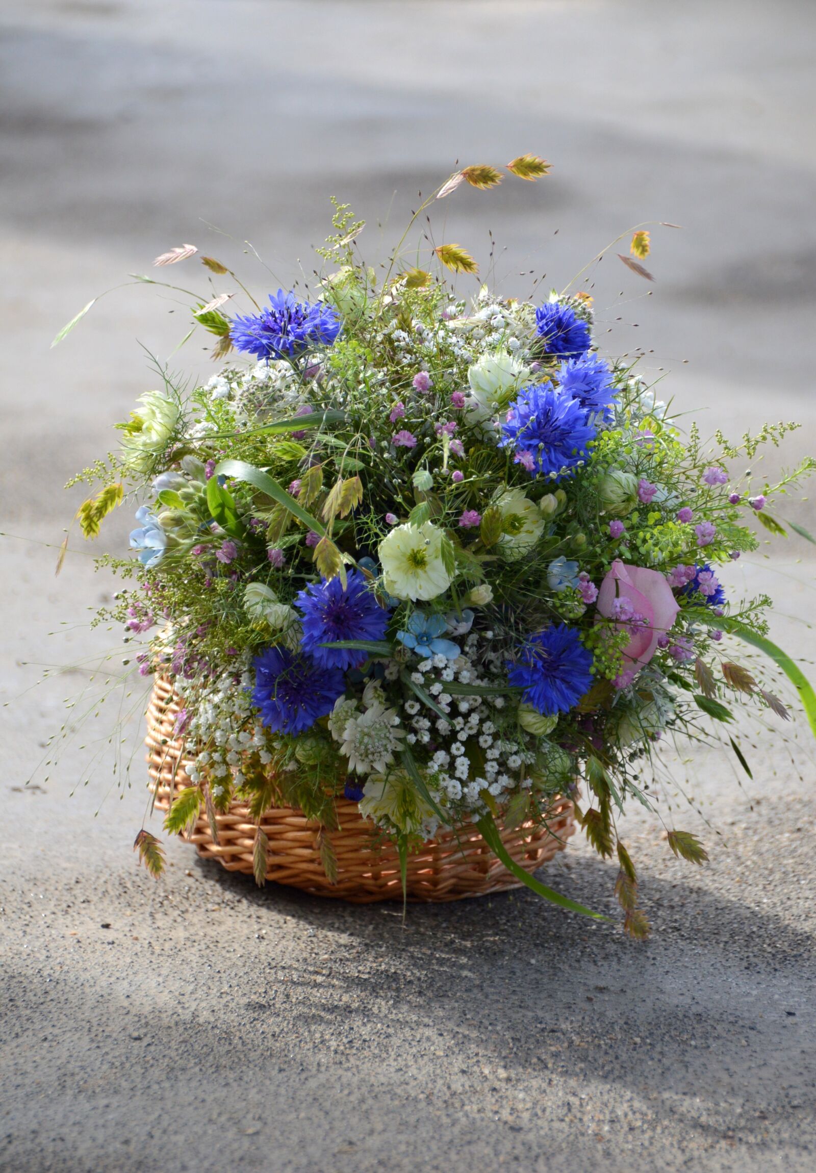 Nikon D3200 sample photo. Flower, nature, plant photography