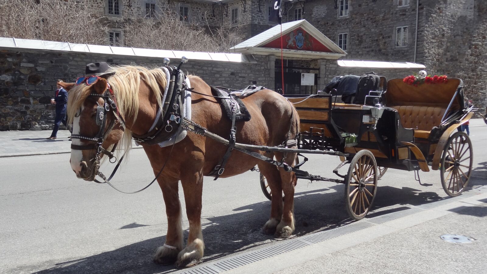 Sony Cyber-shot DSC-HX9V sample photo. Horse, cart, carriage photography