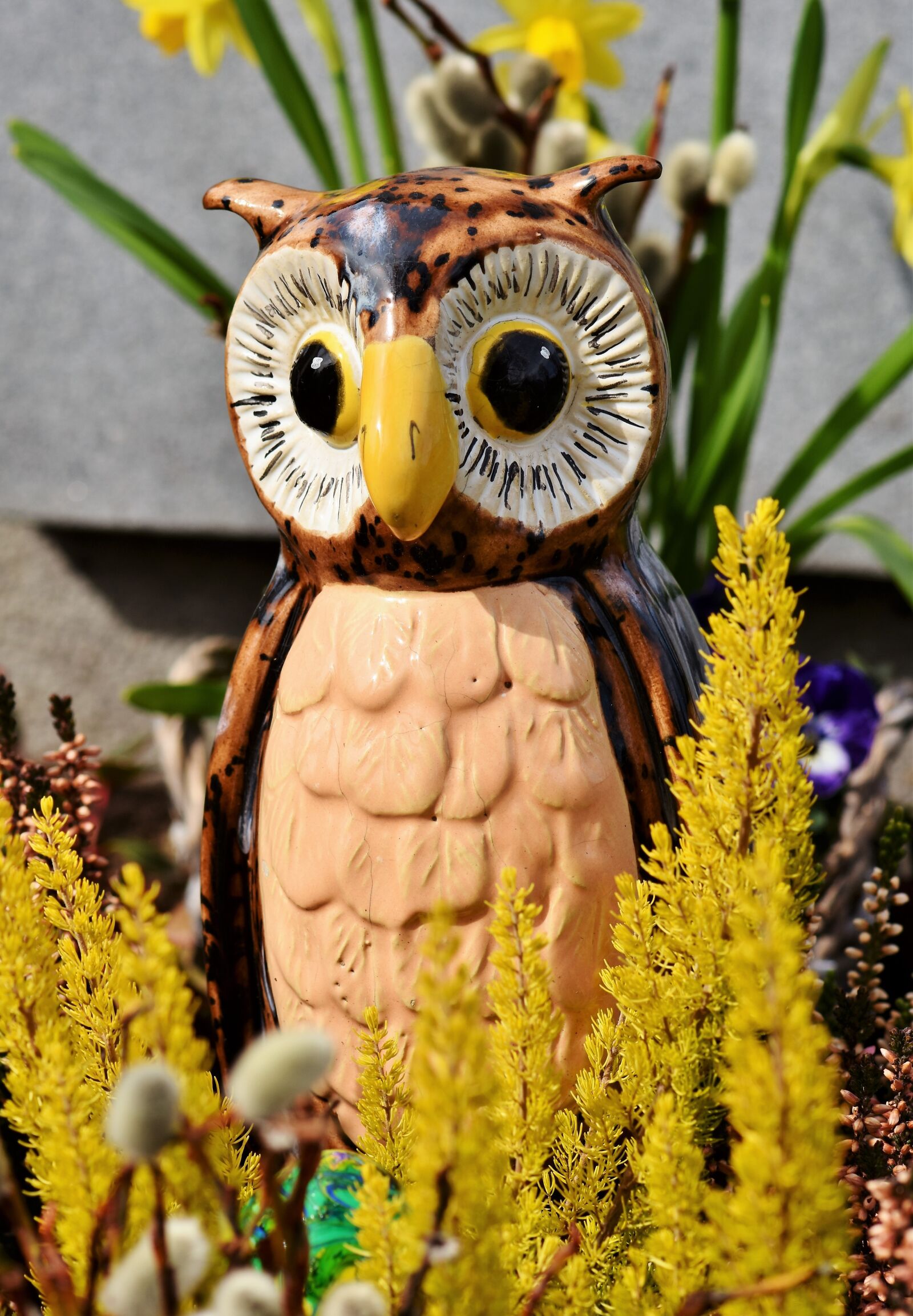 Nikon D7200 sample photo. Owl, toneule, eagle owl photography