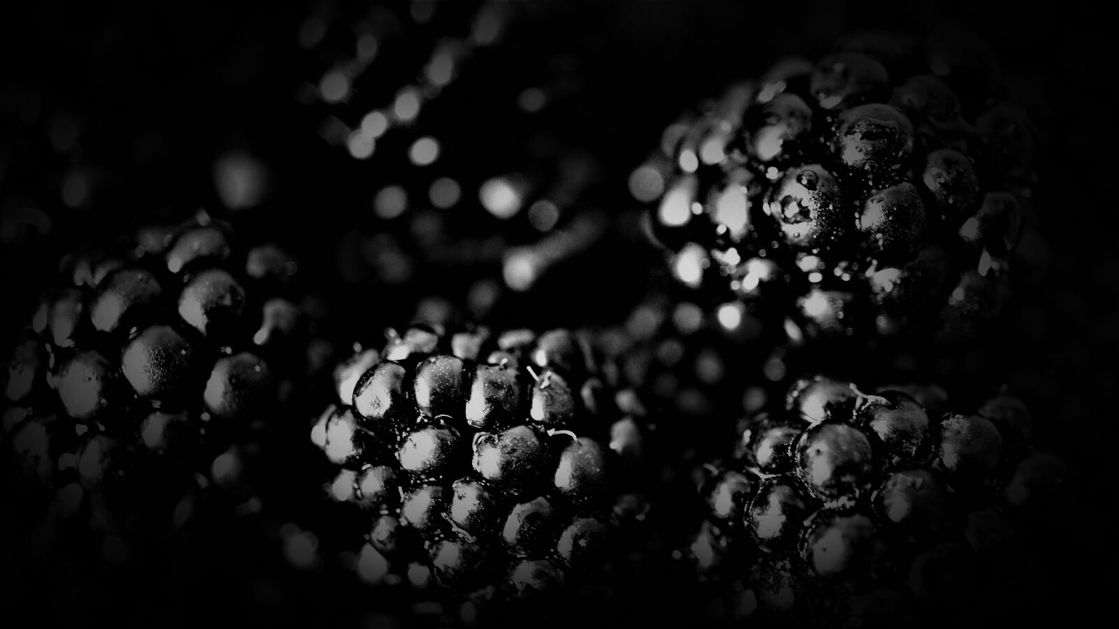 Sony E 30mm F3.5 Macro sample photo. Blackberries, soft fruit, fruits photography