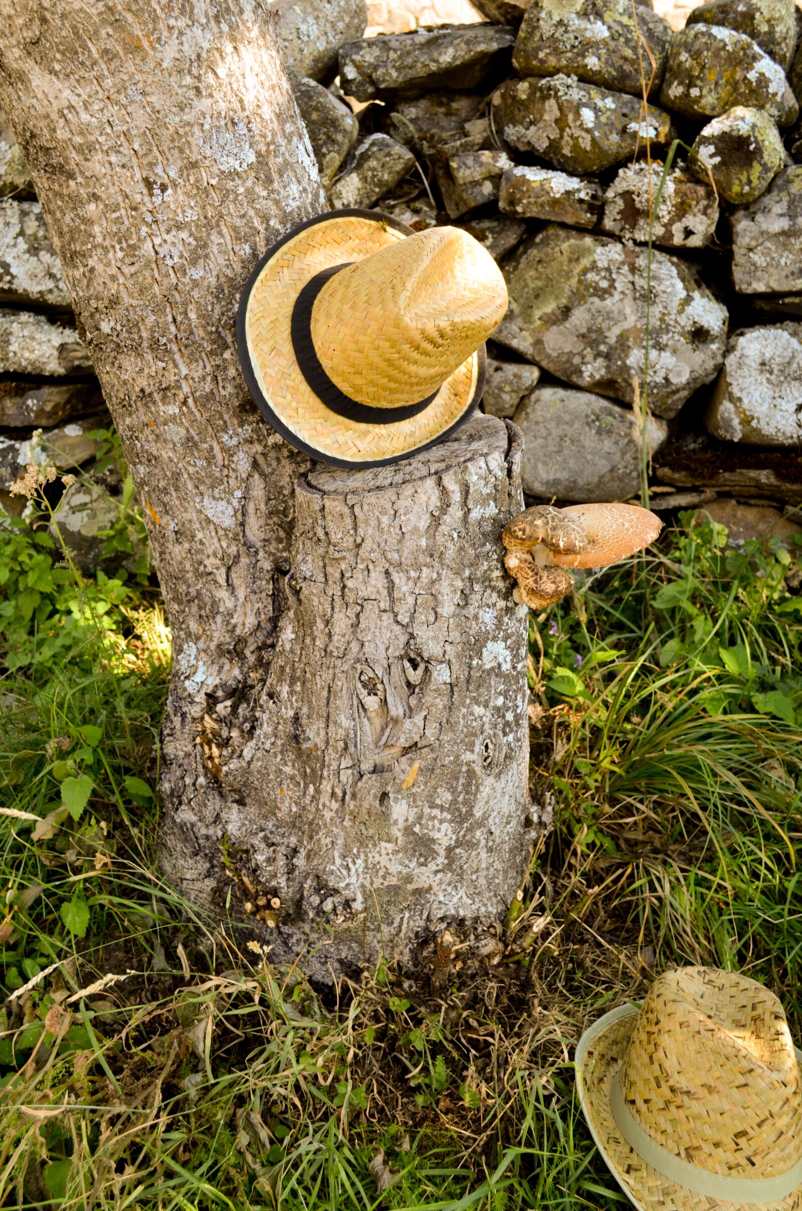Nikon D5100 sample photo. Rustic, vintage, old photography