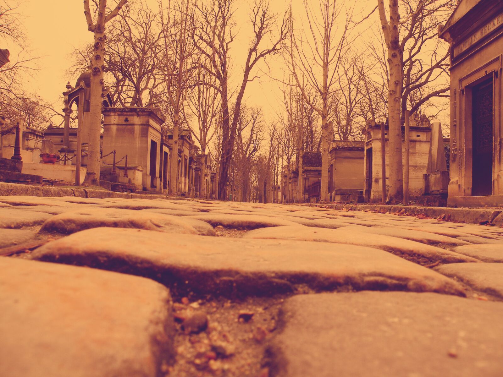 Nikon Coolpix P80 sample photo. Cementery, sad, street, tombs photography