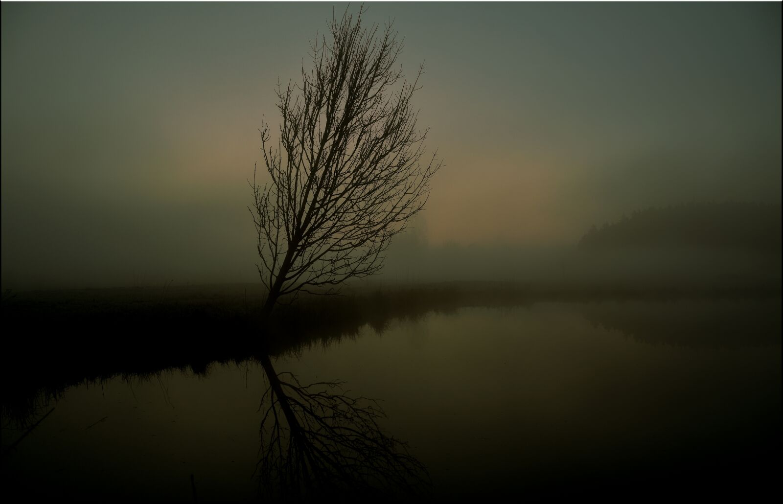 Nikon D7200 sample photo. Tree, fog, sunrise photography