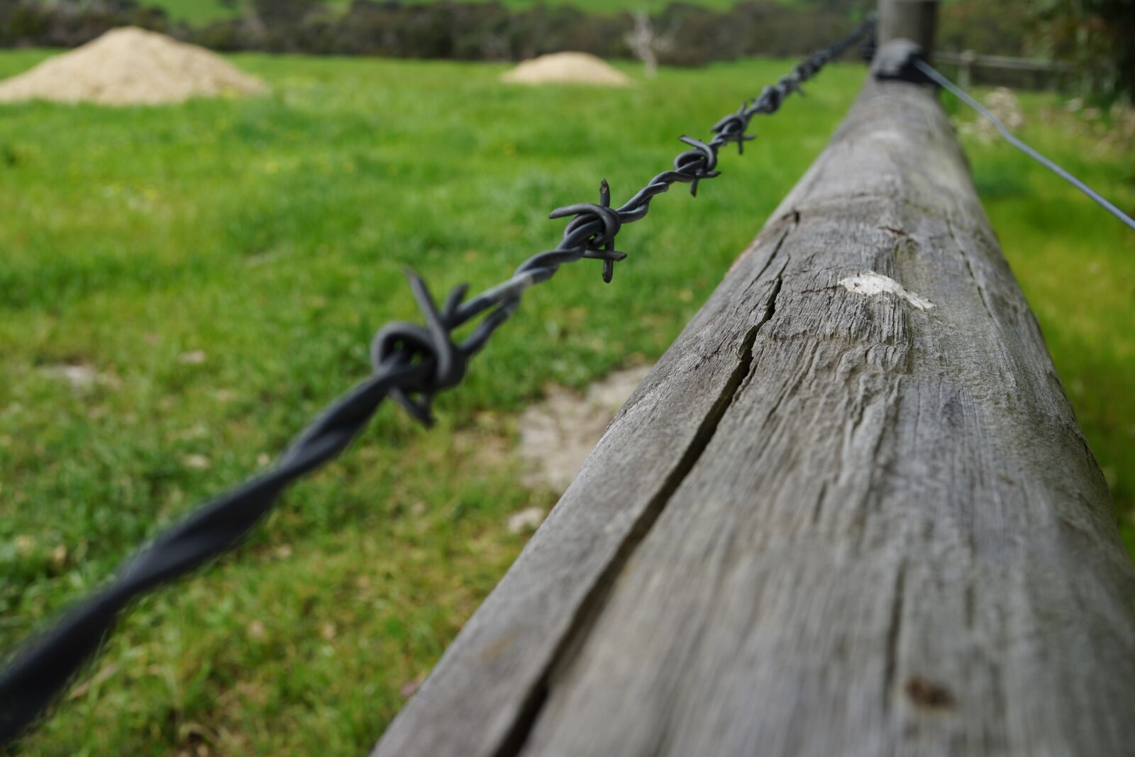 Sony Cyber-shot DSC-RX1R sample photo. Barb wire, keep out photography